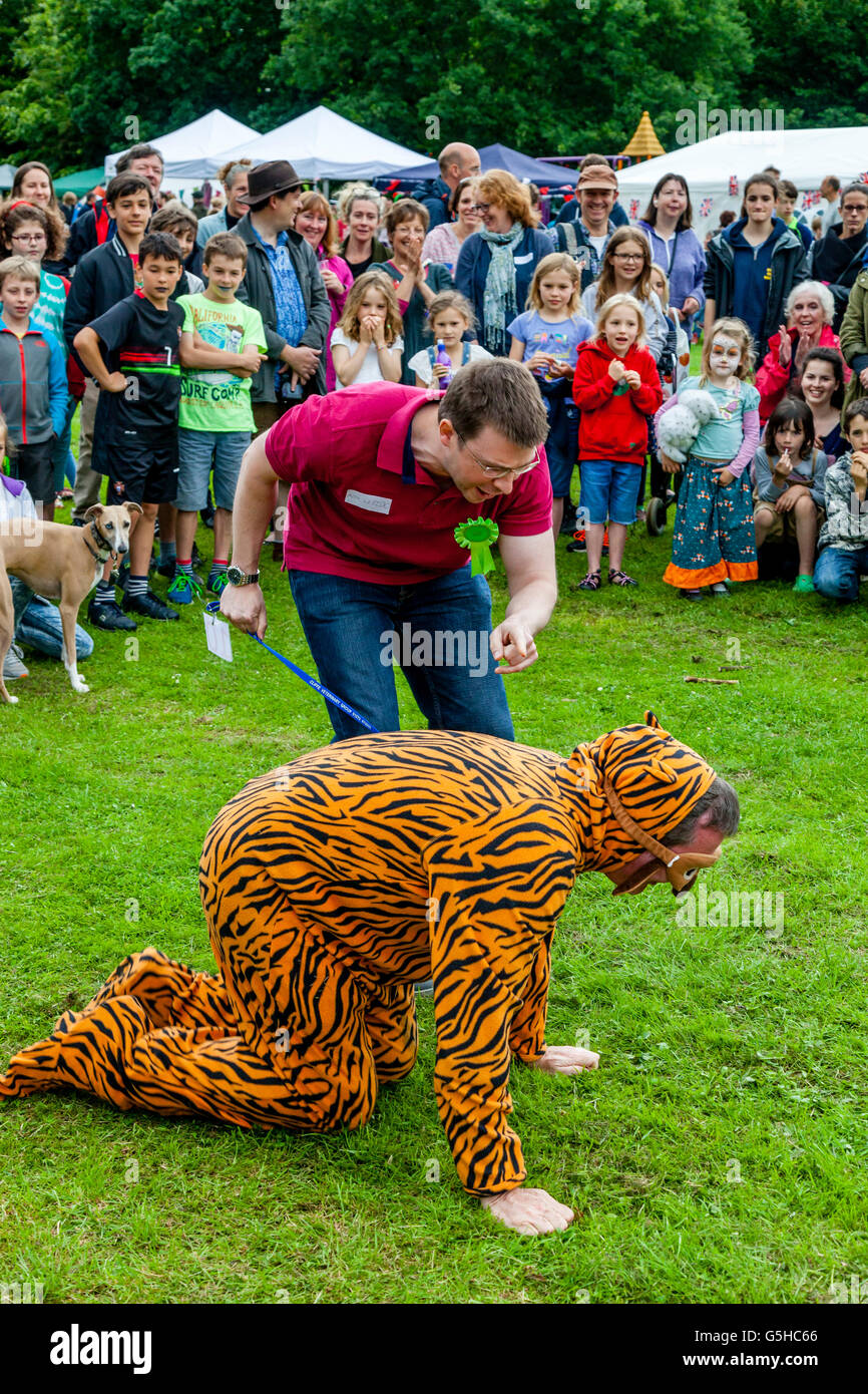 Ein Mann, gekleidet In einem Tiger Kostüm nimmt Teil In einen Hund zeigen, Kingston Dorffest, Lewes, Sussex, Großbritannien Stockfoto