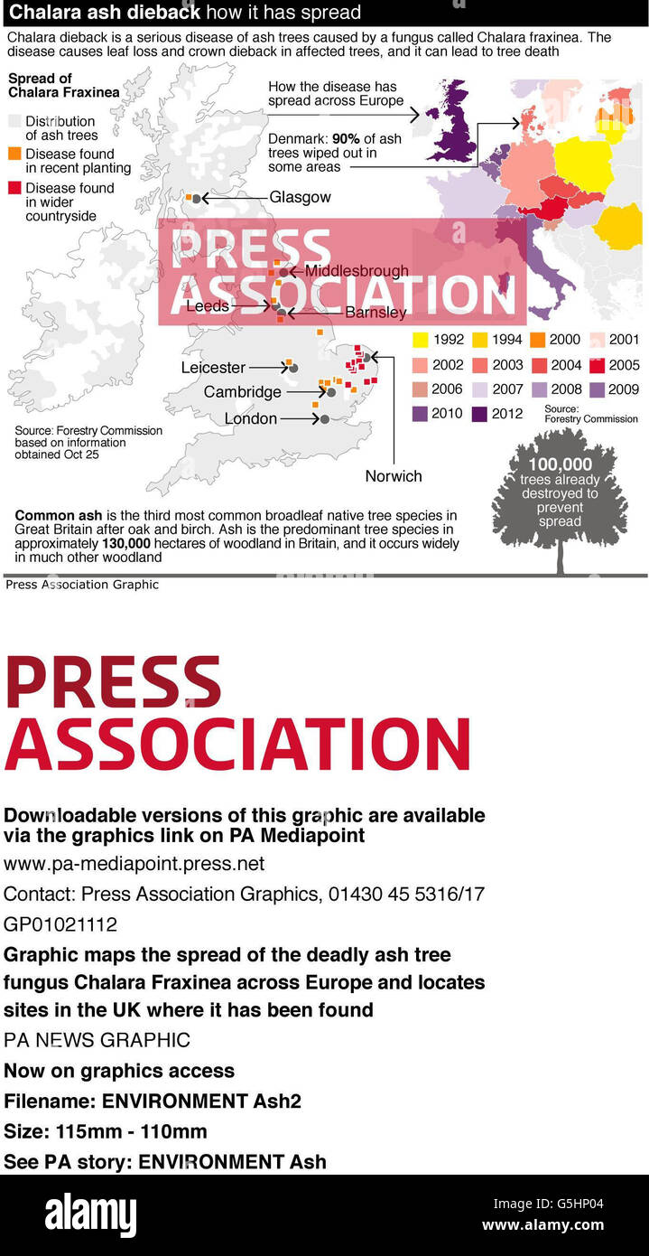 Die Grafik zeigt die Verbreitung des tödlichen Eschenpilzes Chalara Fraxinea in ganz Europa und lokalisiert Standorte in Großbritannien, an denen er gefunden wurde Stockfoto