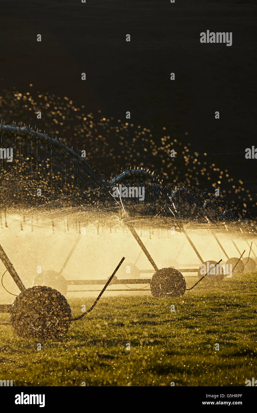 Center Pivot Bewässerung, in der Nähe von Twizel, Mackenzie District, South Canterbury, Südinsel, Neuseeland Stockfoto