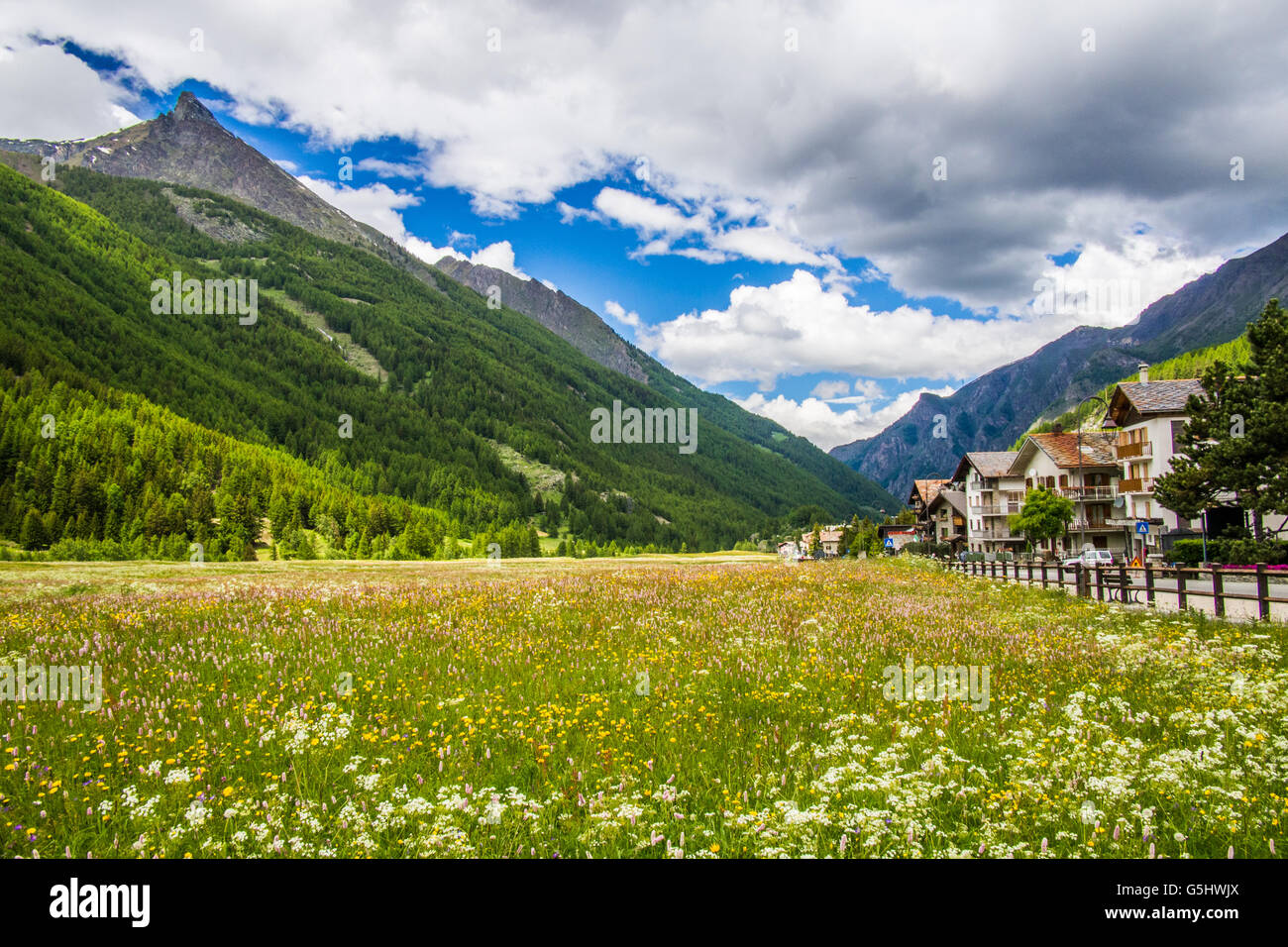 Cogne, Gran Paradiso Park, Aostatal, Italien. Stockfoto
