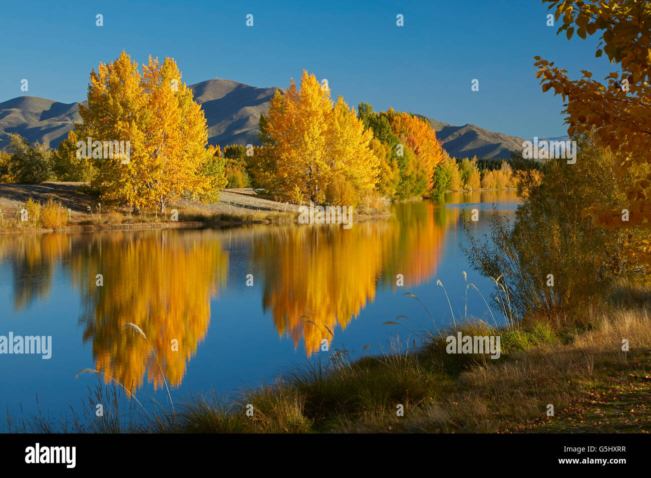 Herbstliche Spiegelungen im Kellands Teich in der Nähe von Twizel, Mackenzie District, South Canterbury, Südinsel, Neuseeland Stockfoto