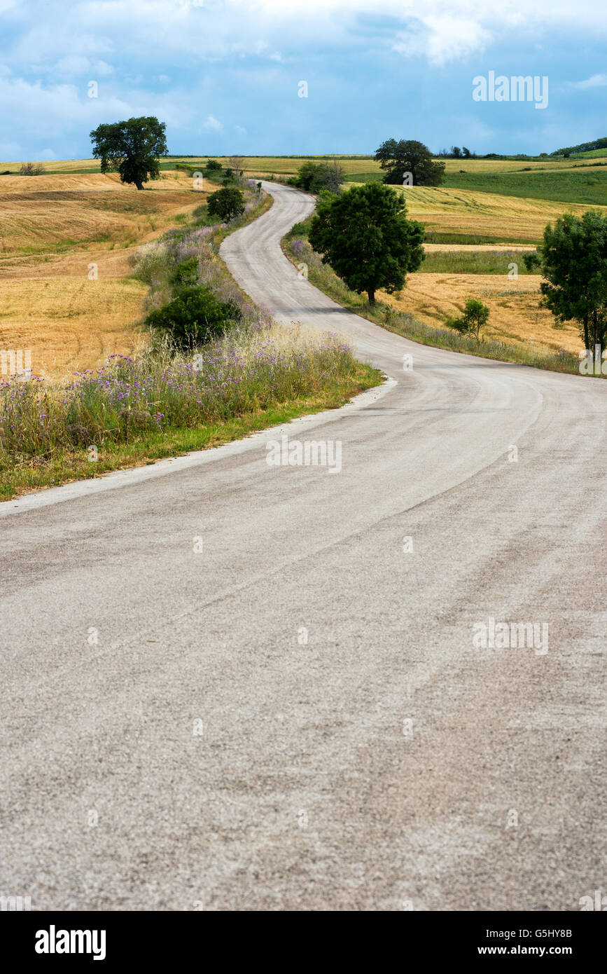 Verlassene gewundene Landstraße führt zu niedrigen Hügeln durch offenes Ackerland und Wiesen an einem sonnigen Tag Stockfoto