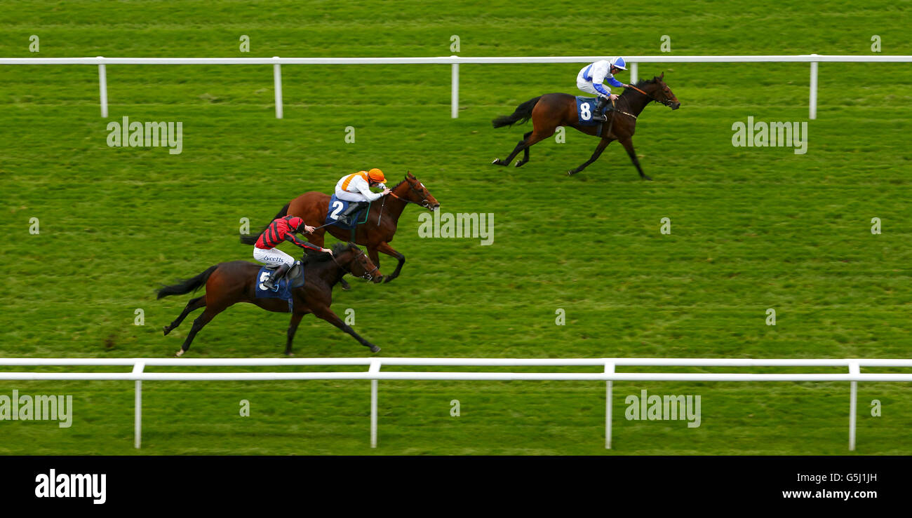 Der Jockey Dane O'Neill auf Anya (TOP) gewinnt die Collingwood First Class Service Handicap-Einsätze auf der Rennbahn Newbury, in der Grafschaft von Bekshire. Stockfoto