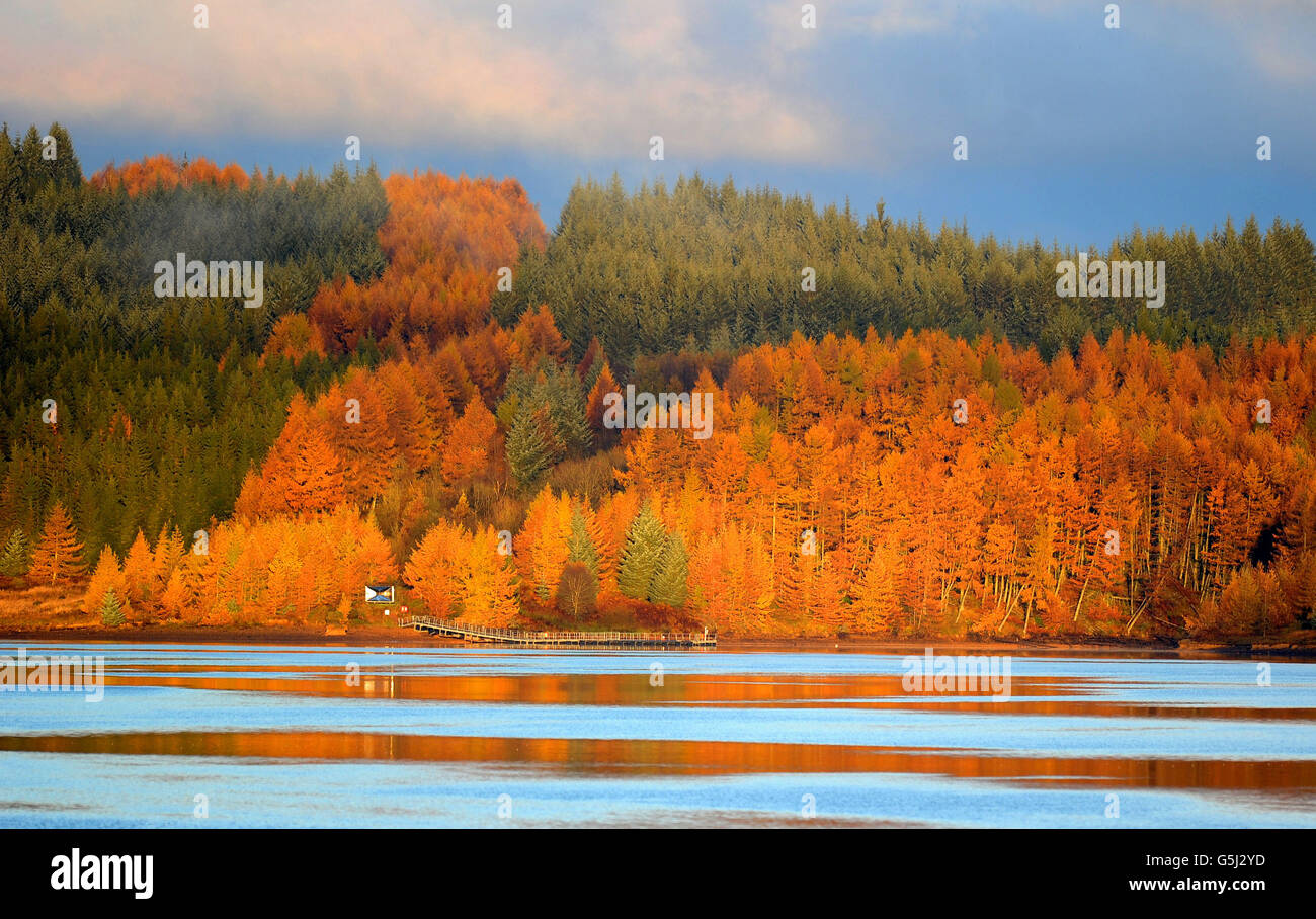 Die Bäume leuchten in den Herbstfarben, wenn die Sonne heute über dem Kielder Wasser in Northumberland aufgeht. Stockfoto