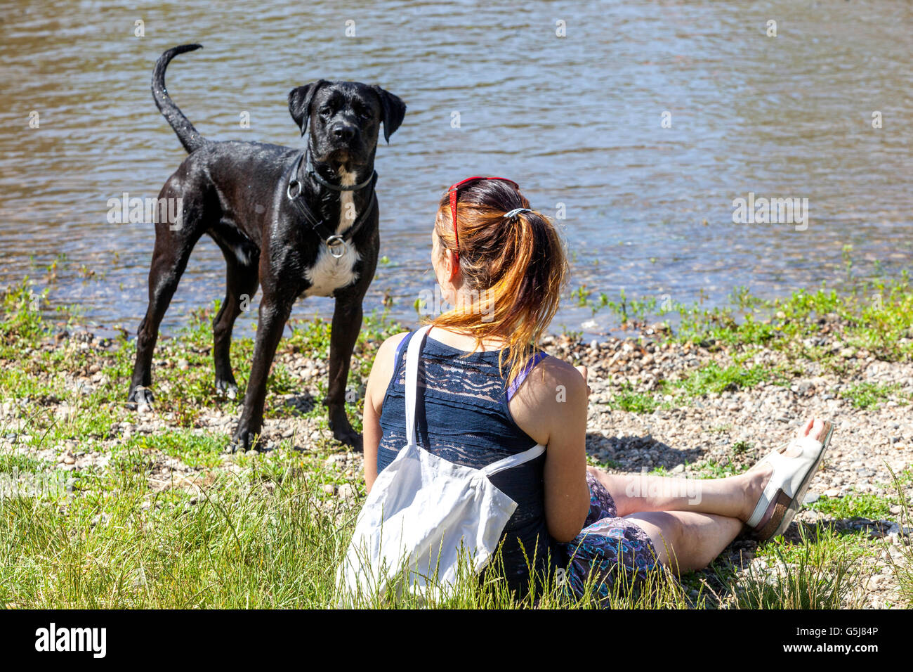 Frau und Hund am Ufer des Flusses Stockfoto