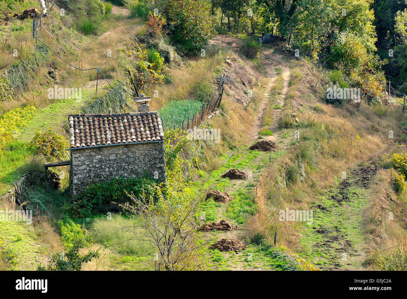 Landschaft im Herzen der französischen Cevennen-Nationalpark im vollen Herbst Stockfoto