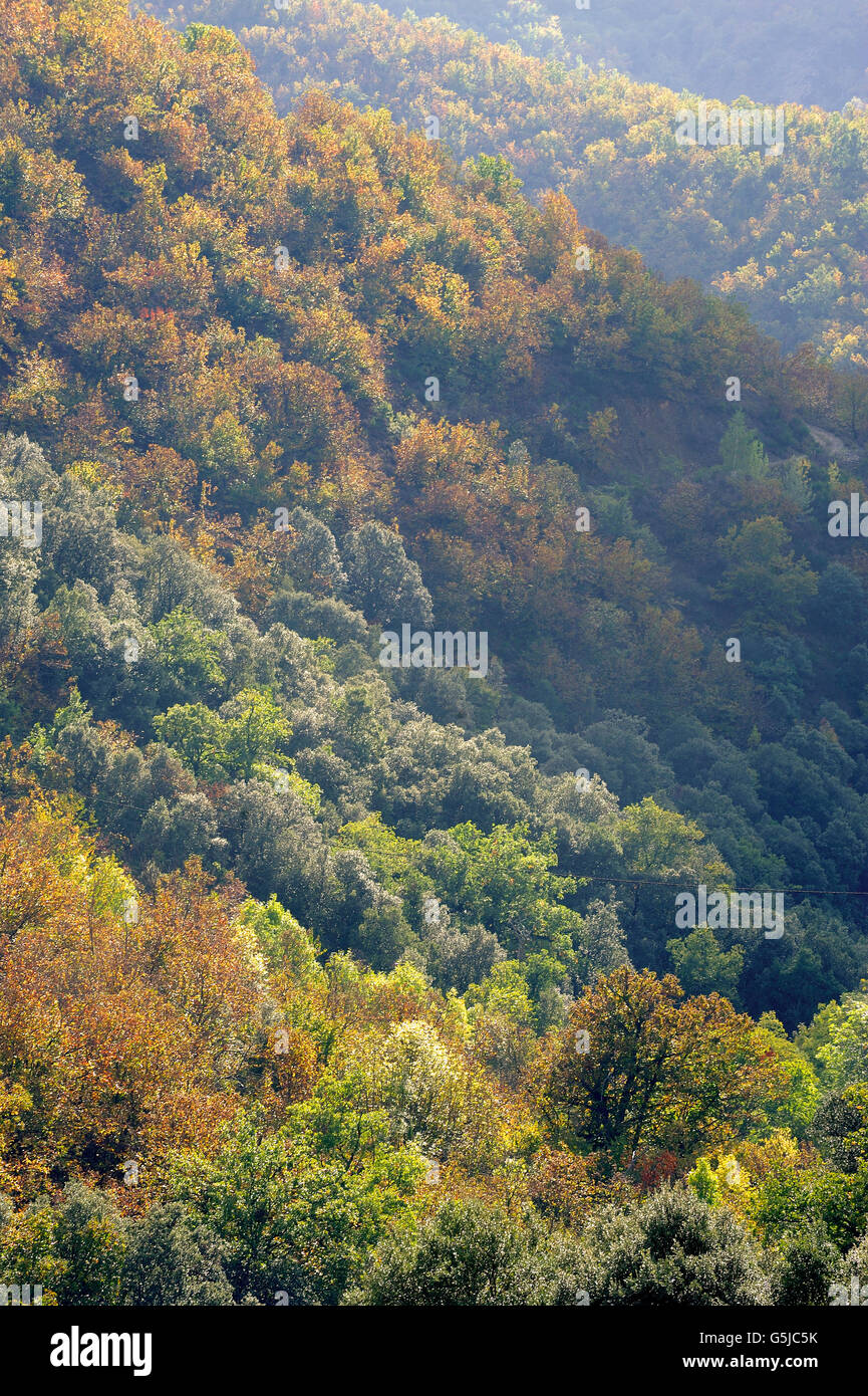 Landschaft im Herzen der französischen Cevennen-Nationalpark im vollen Herbst Stockfoto