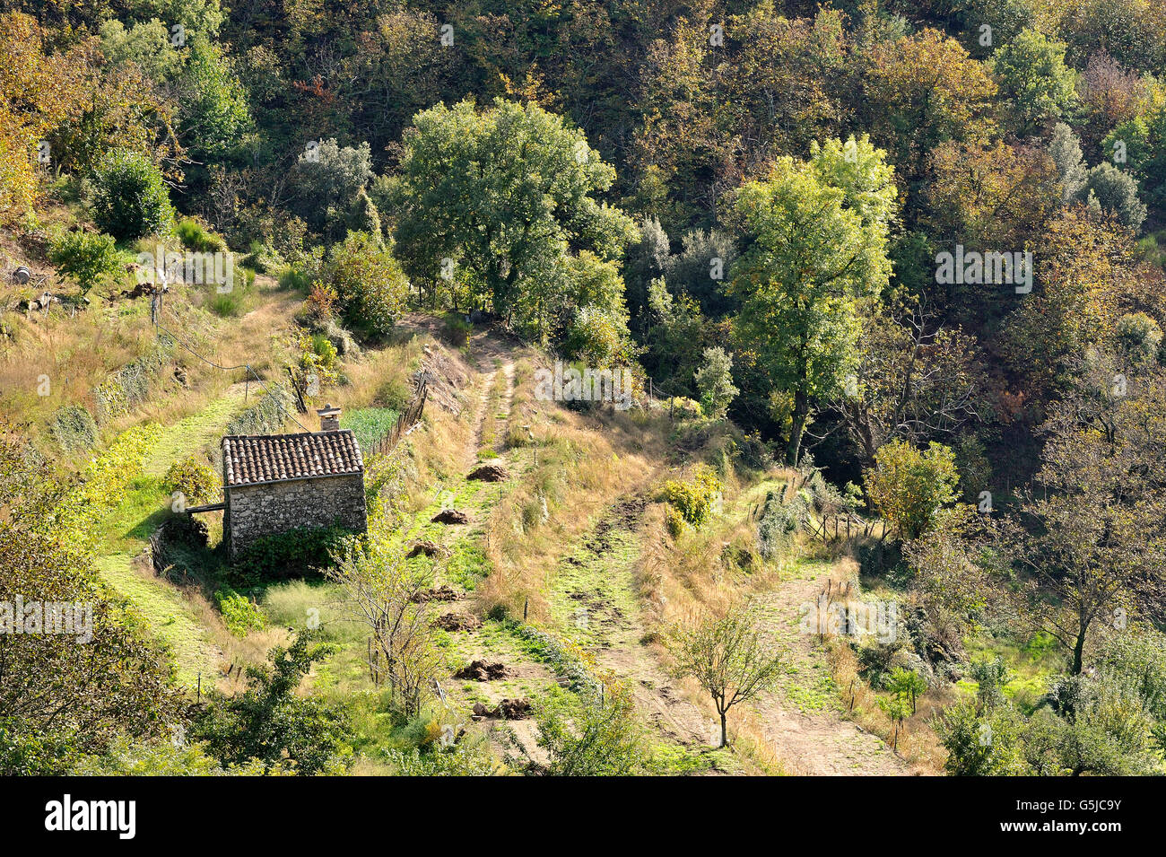 Landschaft im Herzen der französischen Cevennen-Nationalpark im vollen Herbst Stockfoto