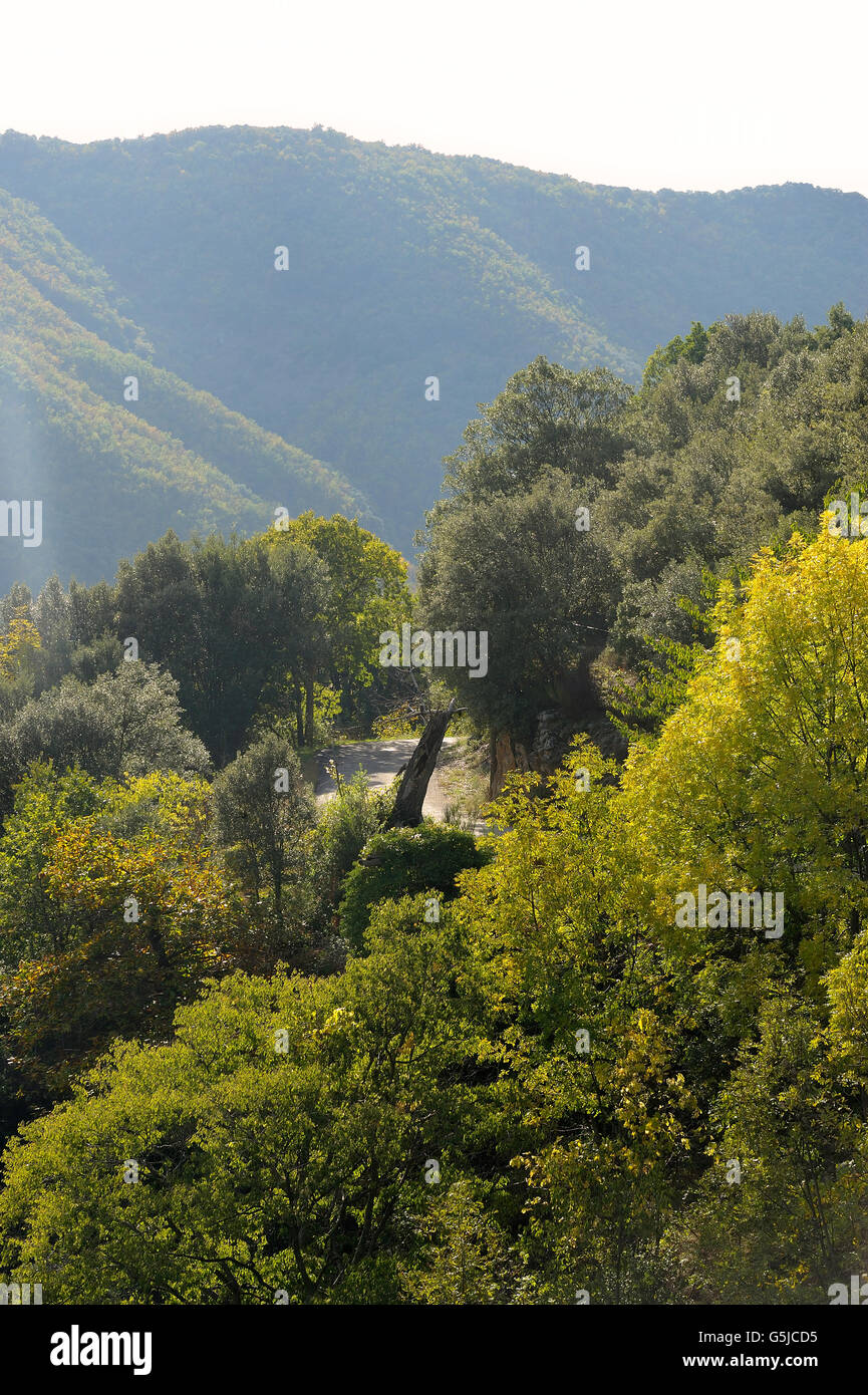 Dorf, umgeben von Natur im Herzen der französischen Cevennen-Nationalpark im vollen Herbst Stockfoto