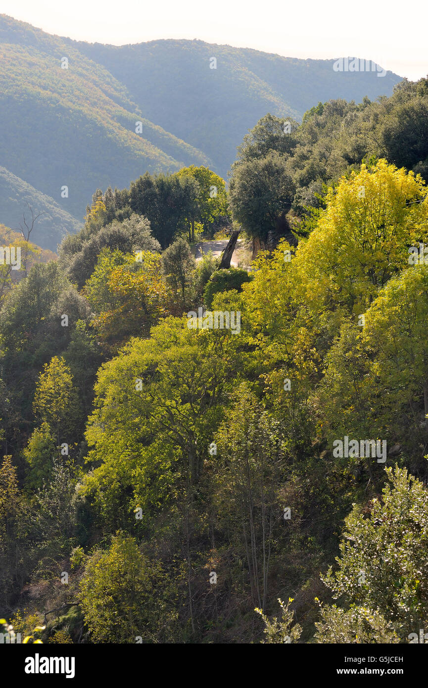 Dorf, umgeben von Natur im Herzen der französischen Cevennen-Nationalpark im vollen Herbst Stockfoto