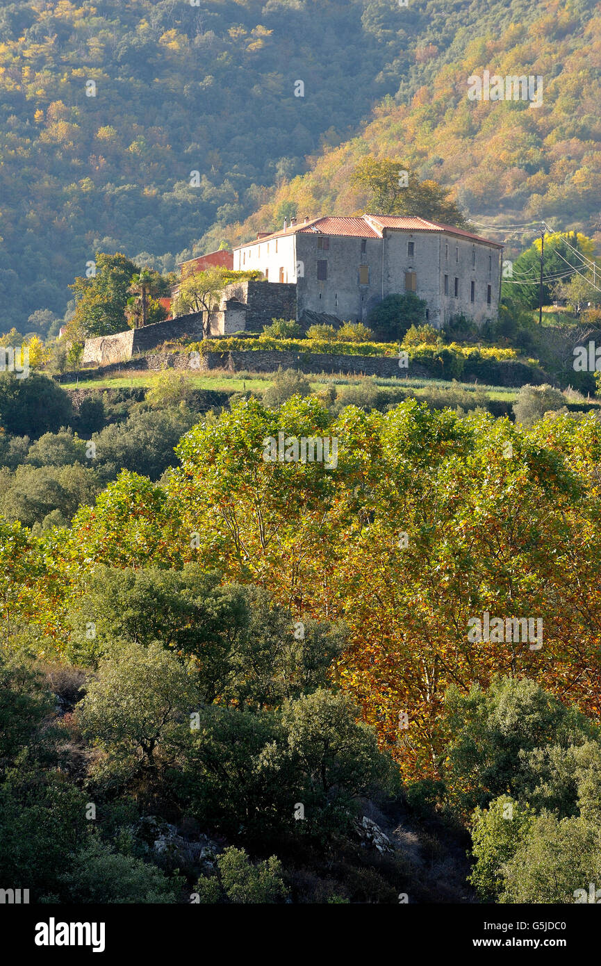 Dorf, umgeben von Natur im Herzen der französischen Cevennen-Nationalpark im vollen Herbst Stockfoto