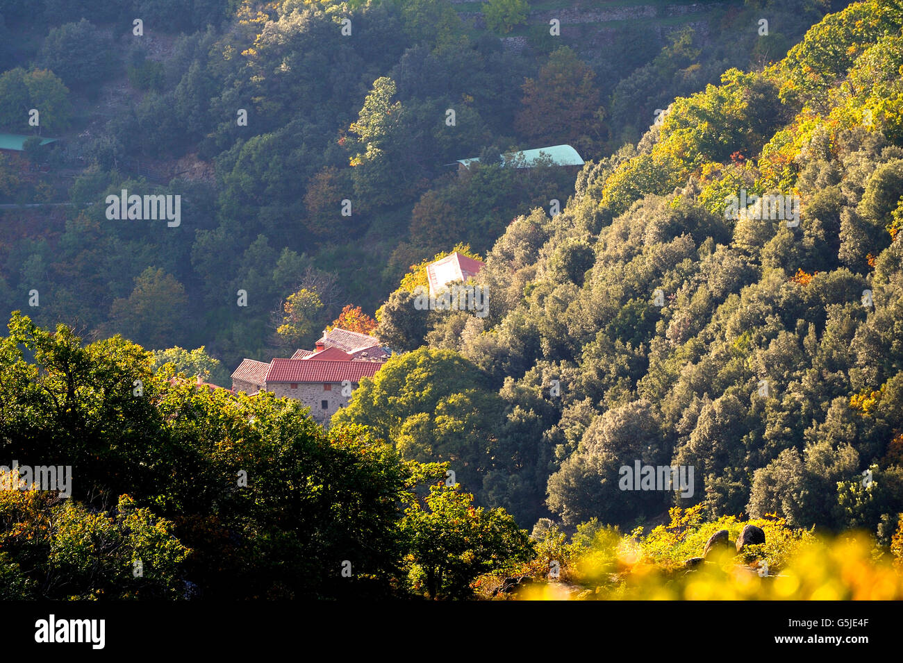 Dorf, umgeben von Natur im Herzen der französischen Cevennen-Nationalpark im vollen Herbst Stockfoto