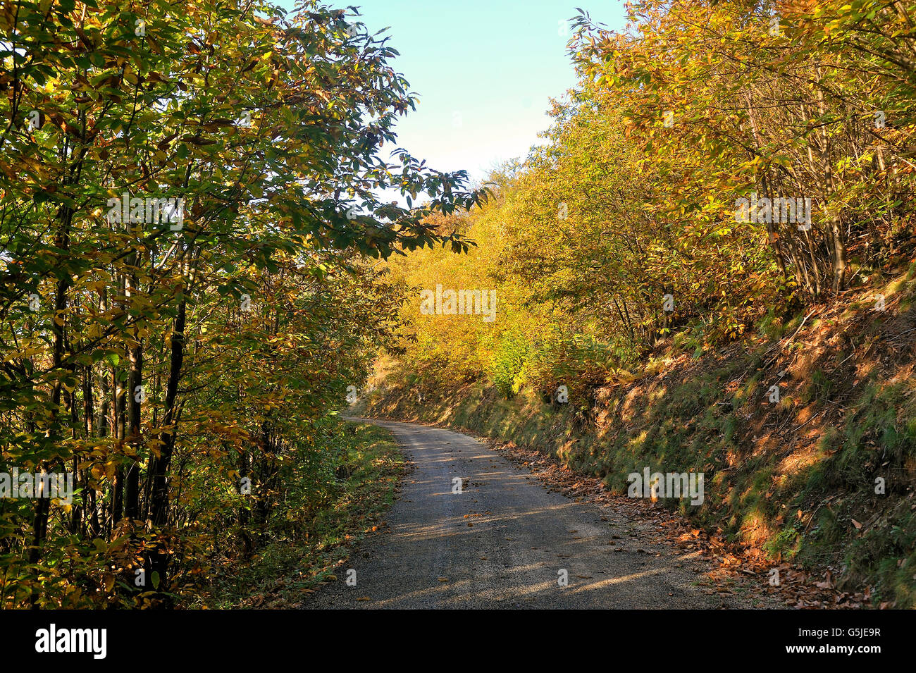 Kleiner Waldweg im Herzen der französischen Cevennen-Nationalpark im vollen Herbst Stockfoto