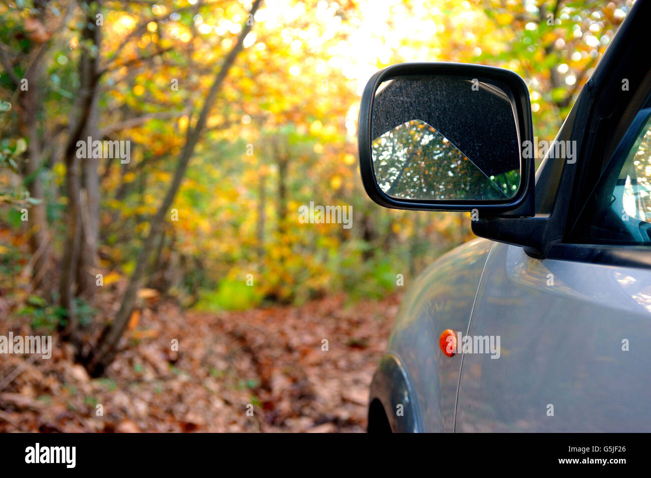 Offroad Fahrzeug fahren in den Wald des Nationalparks der Cevennen im Herbst. Stockfoto