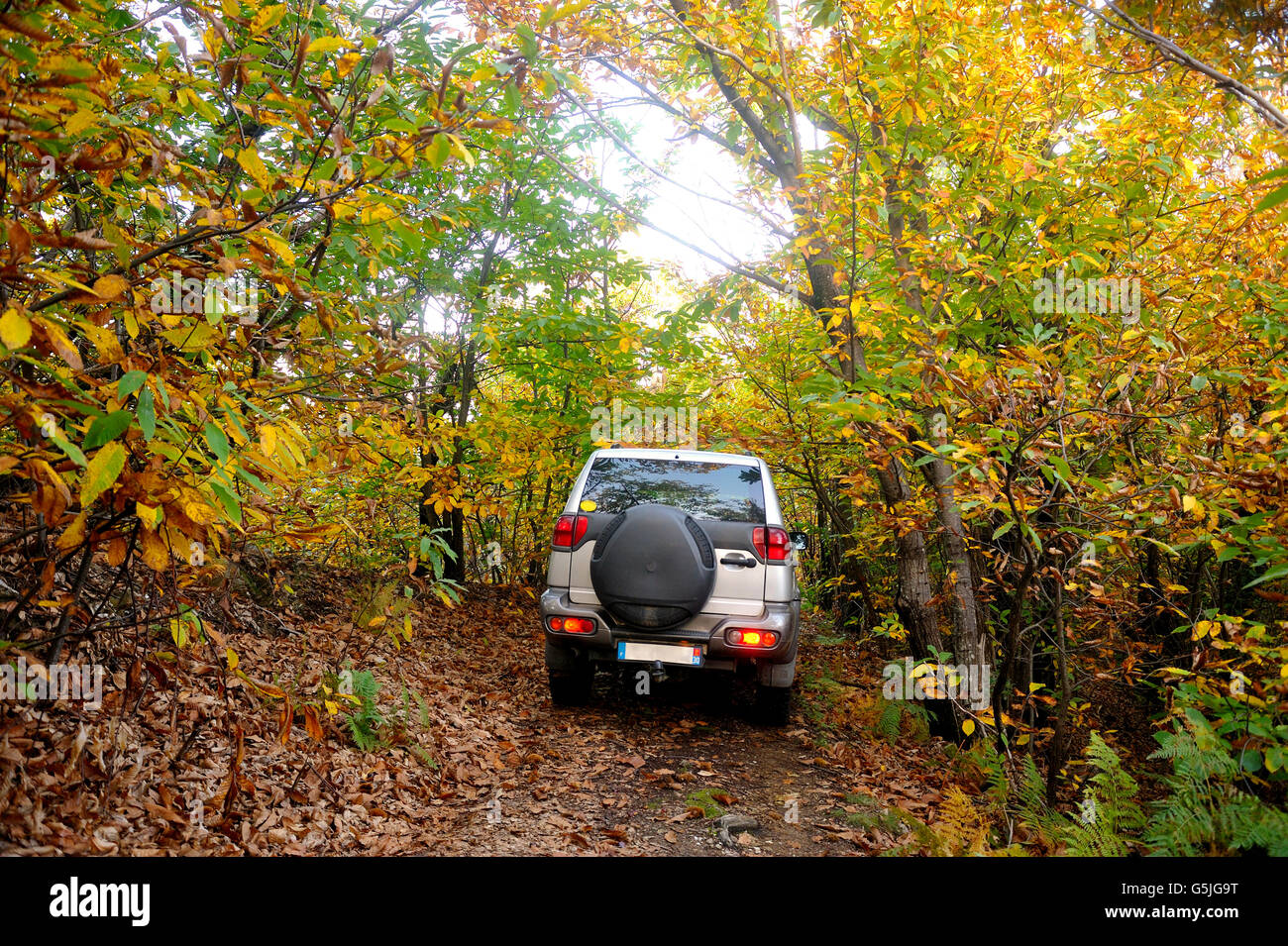 Offroad Fahrzeug fahren in den Wald des Nationalparks der Cevennen im Herbst. Stockfoto