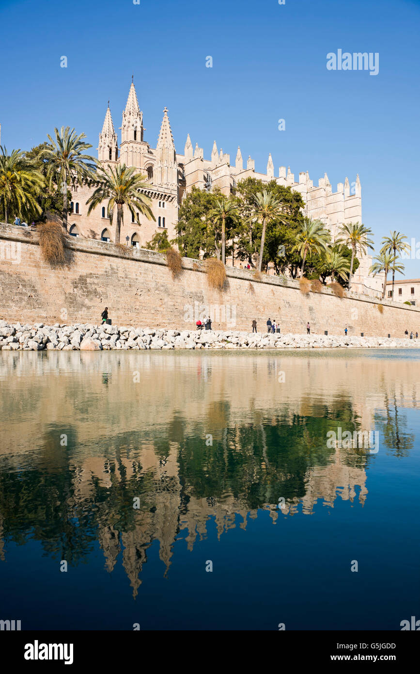 Senkrechten Blick auf die Kathedrale von Santa Maria von Palma, auch bekannt als La Seu auf Mallorca. Stockfoto