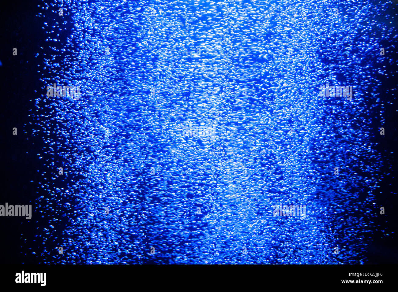 Makro Sauerstoffbläschen im Wasser auf einem blauen Hintergrund Stockfoto