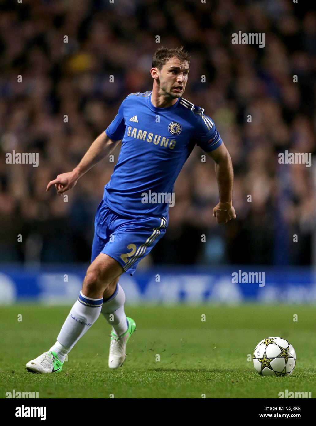 Fußball - UEFA Champions League - Gruppe E - Chelsea gegen Shakhtar Donetsk - Stamford Bridge. Branislav Ivanovic, Chelsea Stockfoto