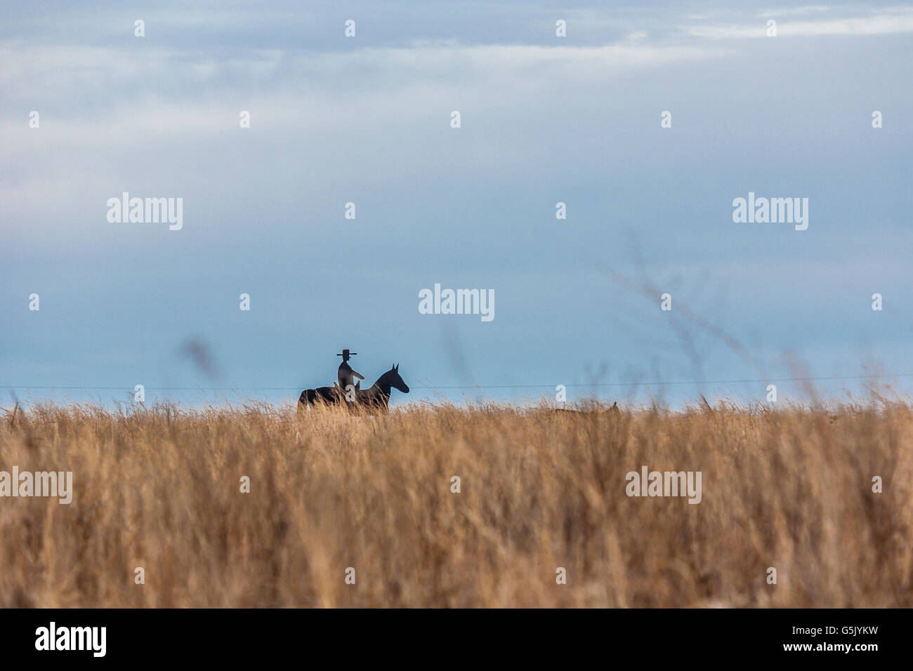 Hölzerne Ausschnitt der Cowboy auf einem Pferd am Horizont ein Getreidefeld in Nord-Ost-Nebraska Stockfoto