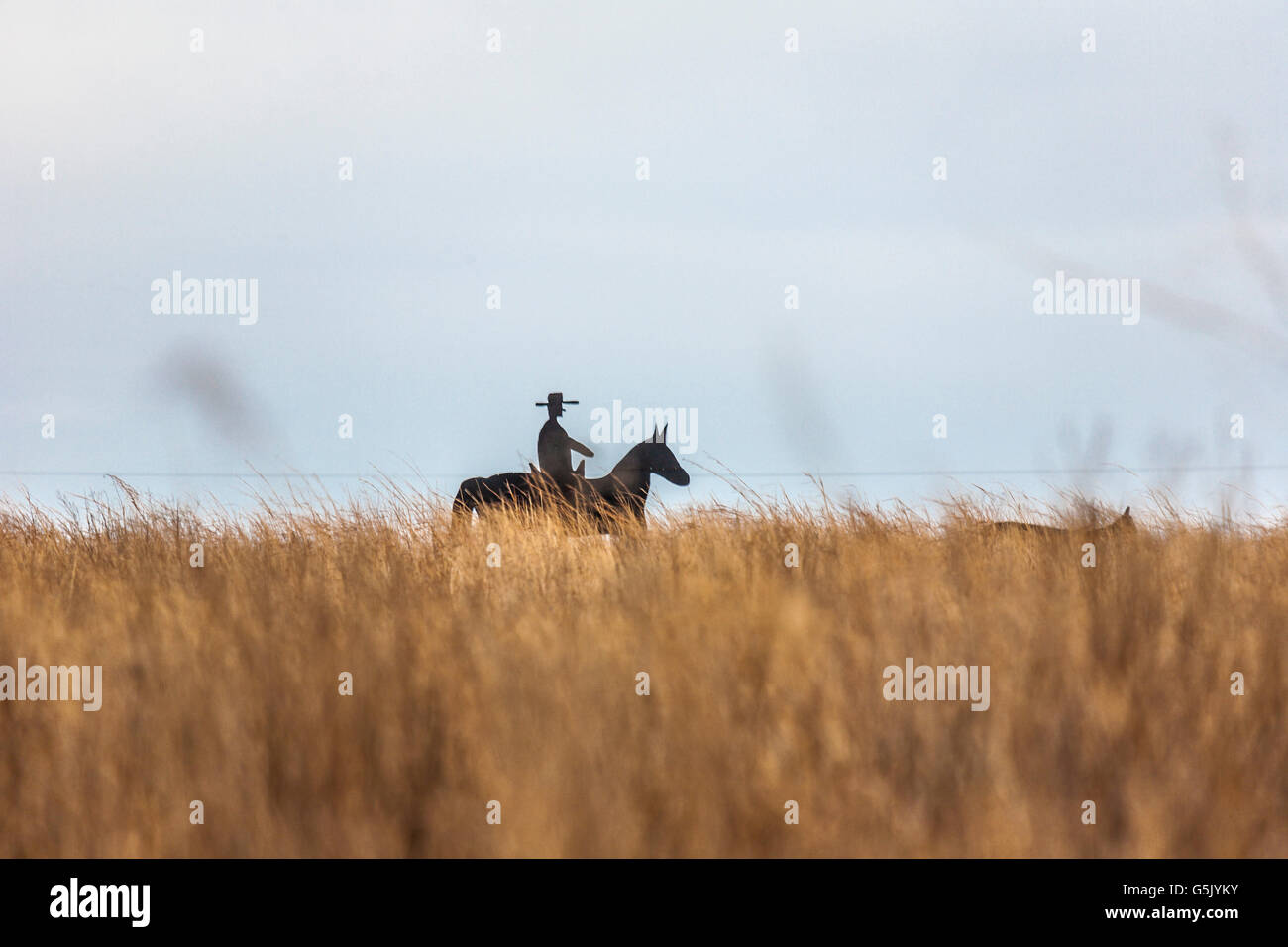 Hölzerne Ausschnitt der Cowboy auf einem Pferd am Horizont ein Getreidefeld in Nord-Ost-Nebraska Stockfoto