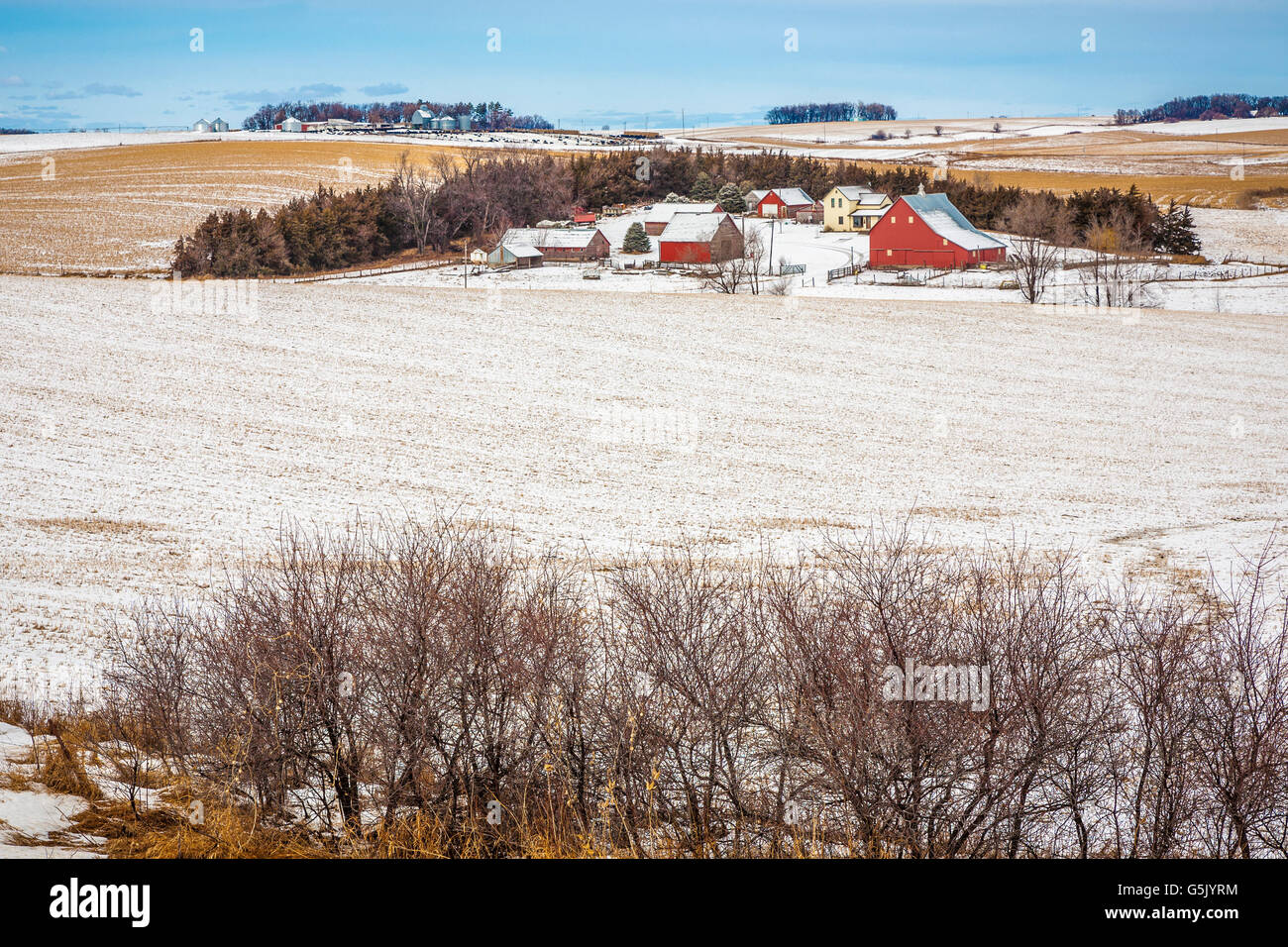 Bauernhaus mit mehreren Scheunen, umgeben von Getreidefeldern im ländlichen Norden Osten Nebraska Stockfoto