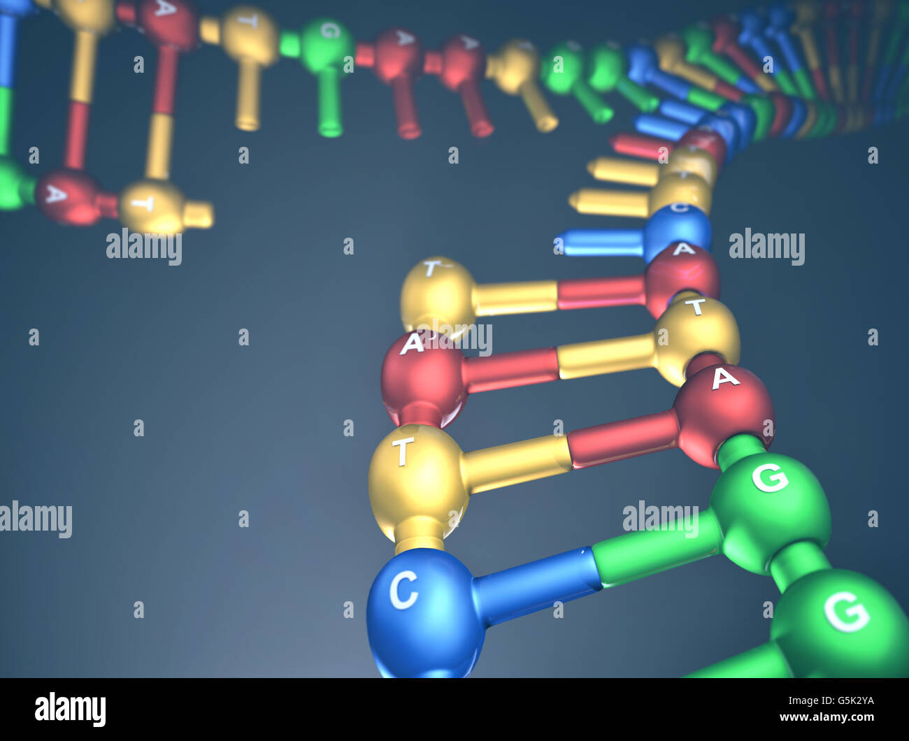 3D Darstellung, Konzept der DNA-Replikation (Wiederholunggabel). Stockfoto