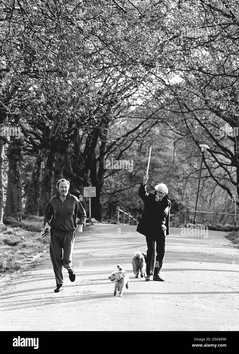 Michael Foot, 69, Vorsitzender der oppositionellen Labour Party, scheint gerade eine Abstimmung über Hampstead Heath in London verloren zu haben. Während eines frühen Morgenspaziergangs wurden Mr Foot und sein Hund 'Dizzy' von einem Jogger und seinem Begleiter vorbeigeführt. Er war entweder in Eile oder vielleicht „unentschlossen“ über seine Wahlabsicht. Stockfoto