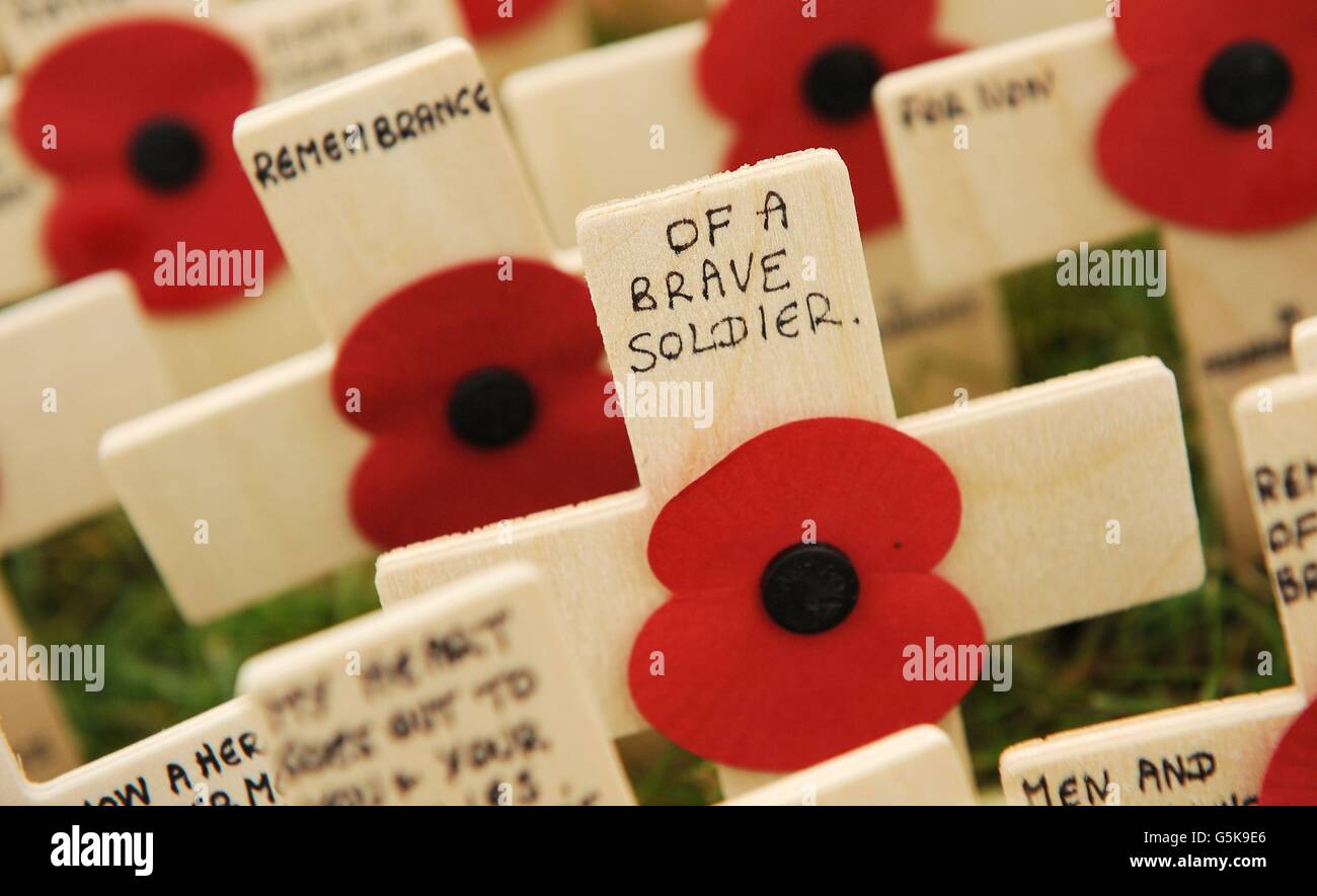 Allgemeine Ansicht der Kreuze im Afghanistan Heroes Field of Remembrance der Royal British Legion im ummauerten Garten des Lydiard Park. Stockfoto