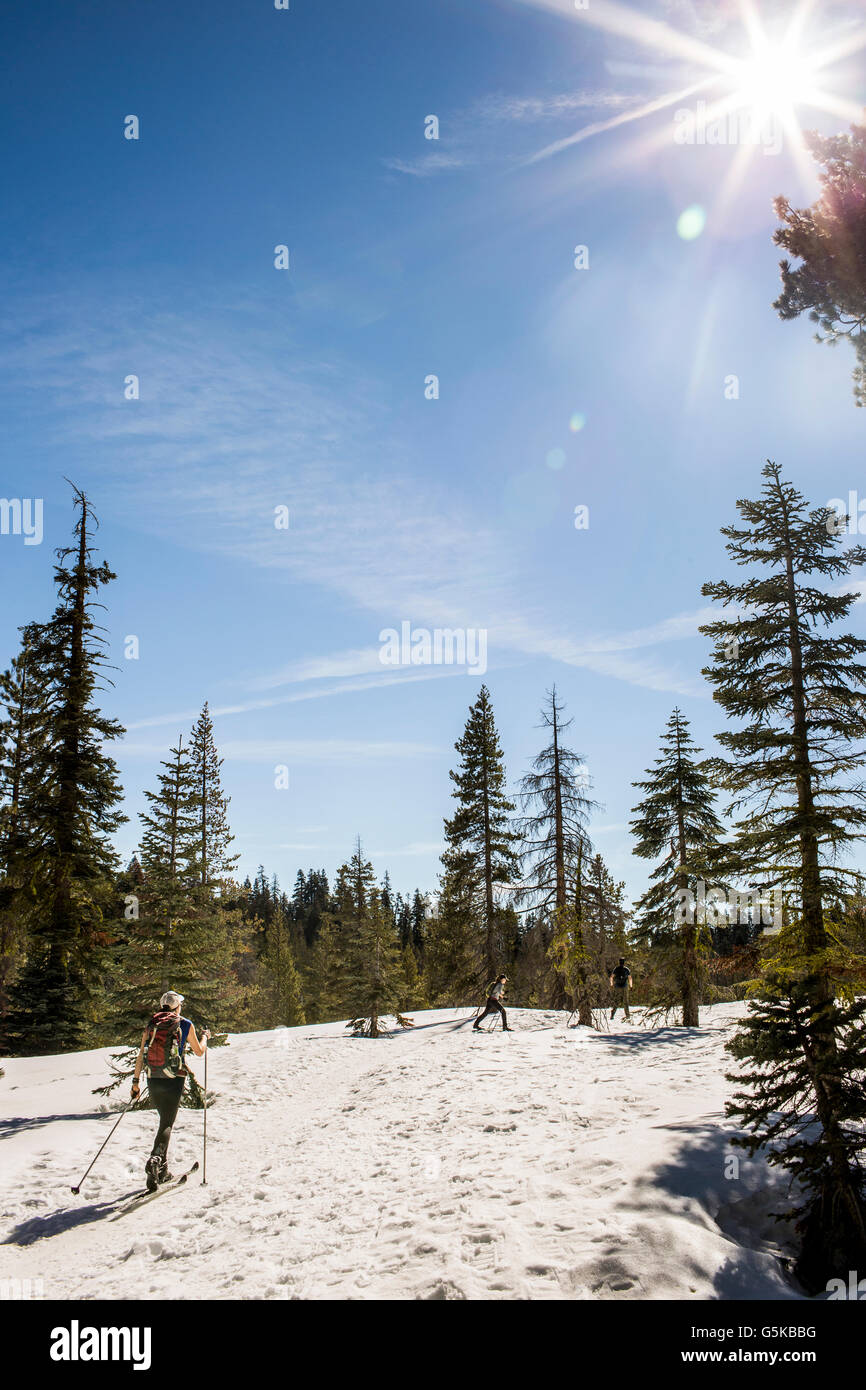 Skilangläufer im verschneiten Wald Stockfoto