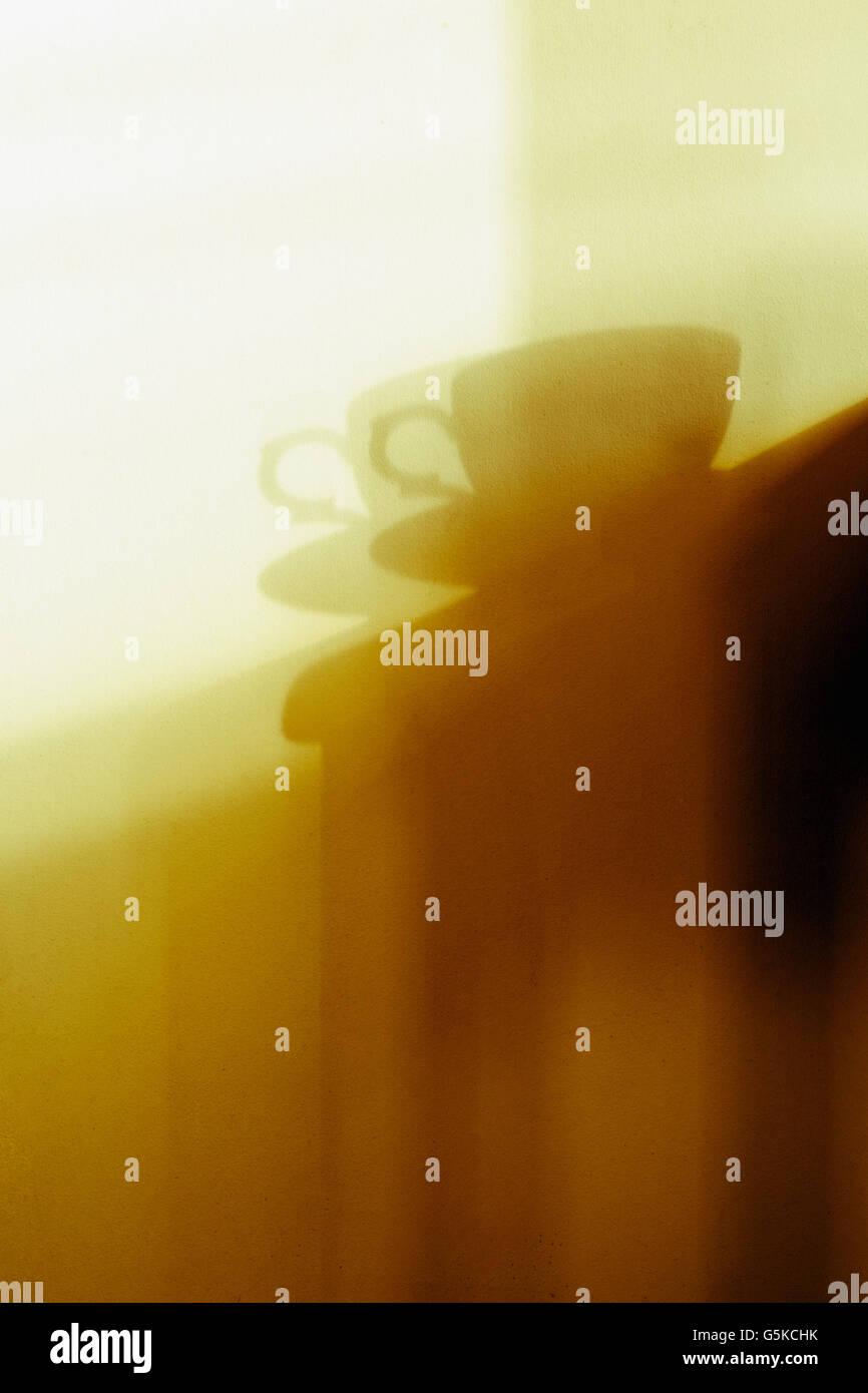 Shadow Detail einer Teetasse und Untertasse, in goldenen Nachmittag Sonnenlicht eingefangen. Stockfoto