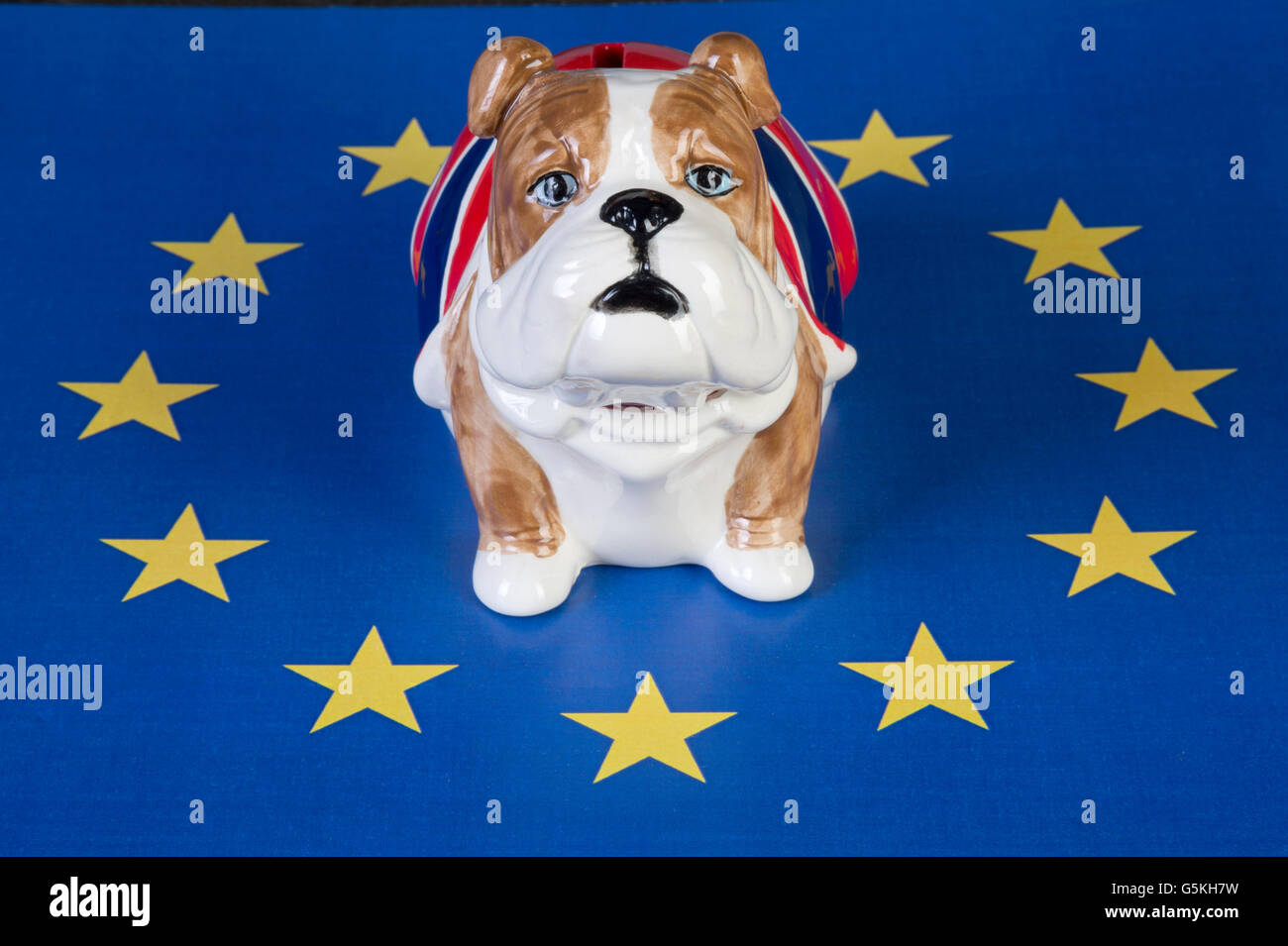 Britische Bulldogge Piggy Bank saß in EU-Kreisen von Sternen für bleiben Kampagne Stockfoto