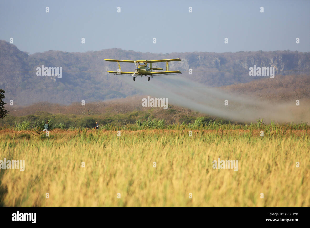 Flugzeug Sprühen von Pestiziden über eine Reis-Plantage in der Nähe von Nationalpark Palo Verde, Guanacaste, Costa Rica. Stockfoto