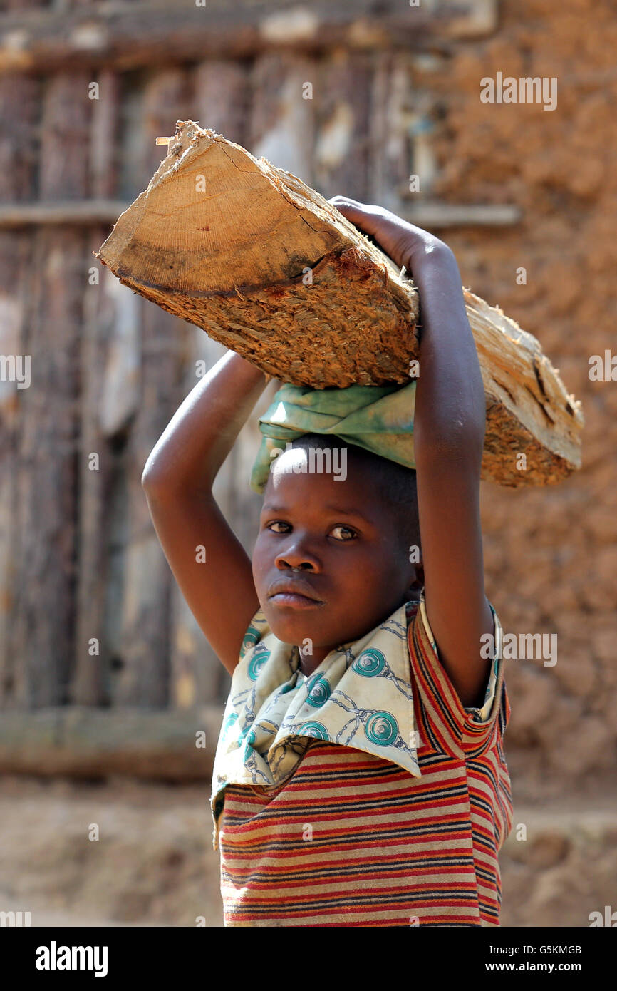 Flüchtling Mädchen aus dem Kongo Brennholz auf dem Kopf tragen. Refugee Camp Kigeme in der Nähe von Gikongoro, Ruanda, Afrika Stockfoto