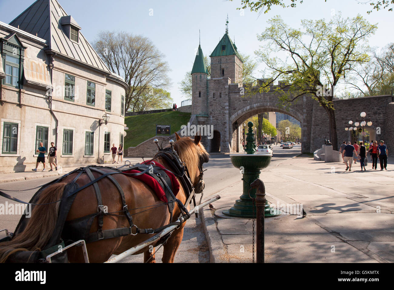 QUEBEC CITY - 23. Mai 2016: Ansicht von einem Pferd gezogen Schlitten in der Nähe von Saint-Jean Tor im Herzen der alten Québec. Stockfoto