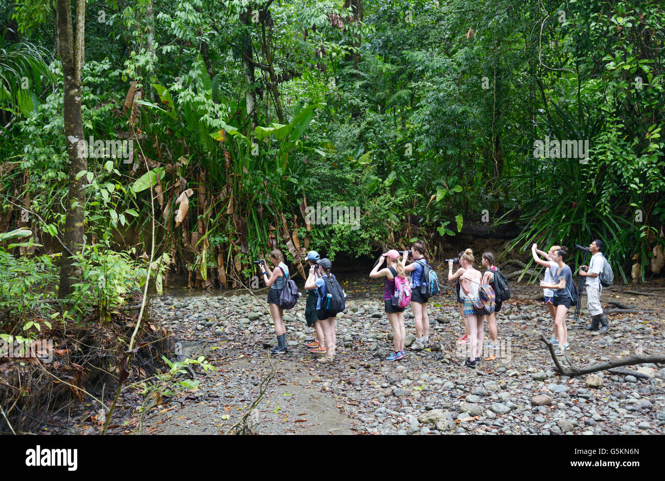 Schule ökotouristische Studentengruppe mit Blick auf Wildtiere, Corcovado Nationalpark, Costa Rica Reiseführer Stockfoto