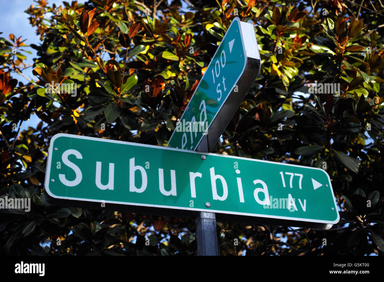 Suburbia Av Straßenschild im suburbanen Raum. Nord-Amerika. USA. Stockfoto