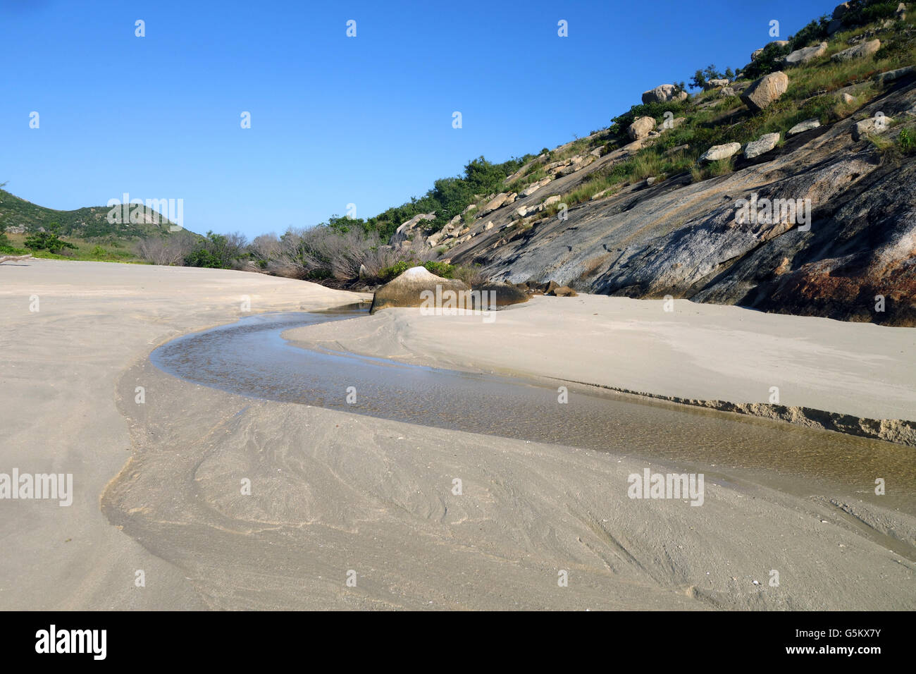 Viele Tote Mangrovenbäume in Bach, der über den Strand von Watsons Bay, Lizard Island, Great Barrier Reef, Queensland, Australien Stockfoto