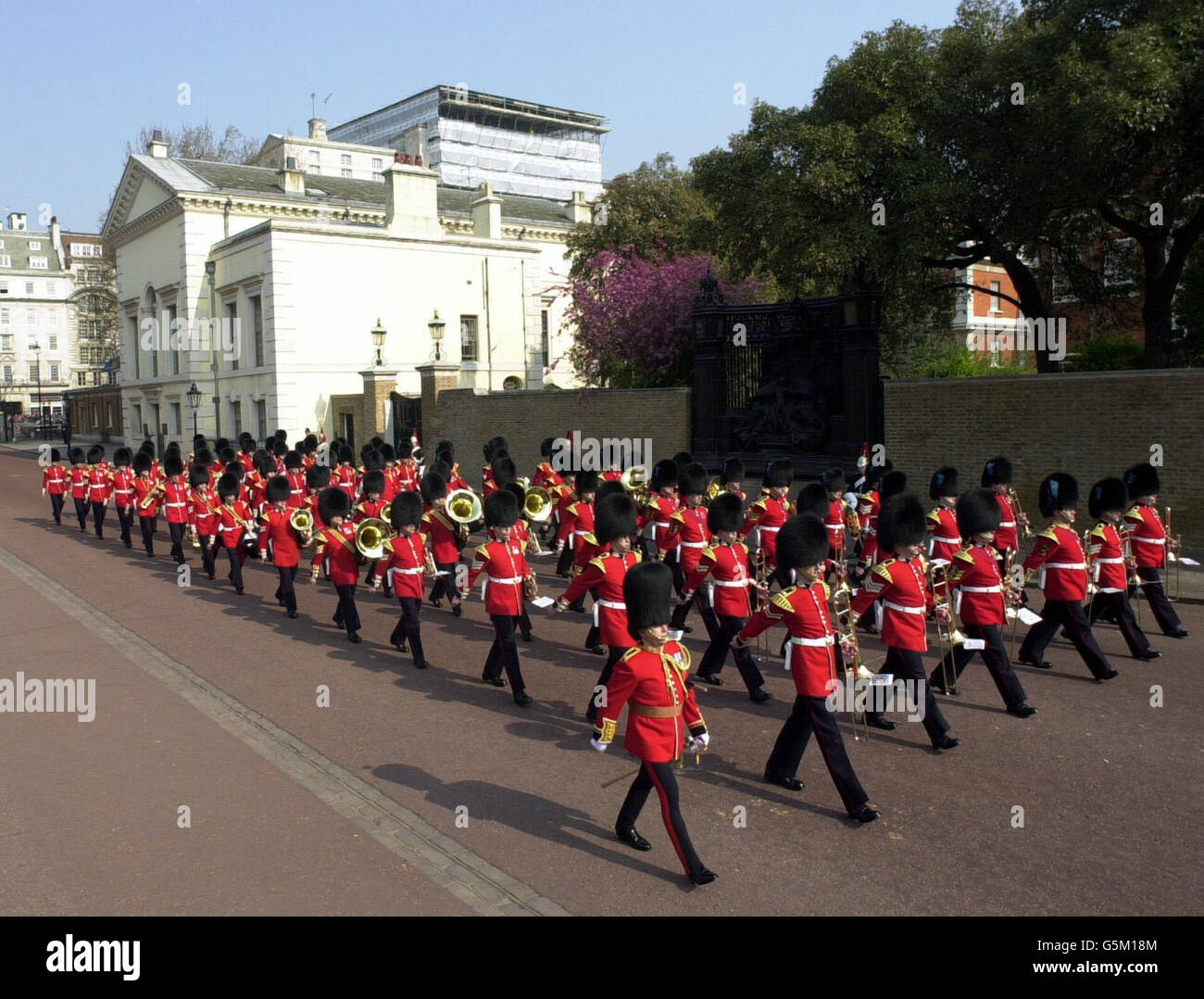 Die Band der Coldstream Guards, die sich in der Marborough Road vor der feierlichen Prozession der Queen Mother von der Queen's Chapel zur Westminster Hall versammeln wird, wo sie bis zu ihrem Begräbnis in Westminster Abbey am 9. April im Staat liegen wird. Stockfoto