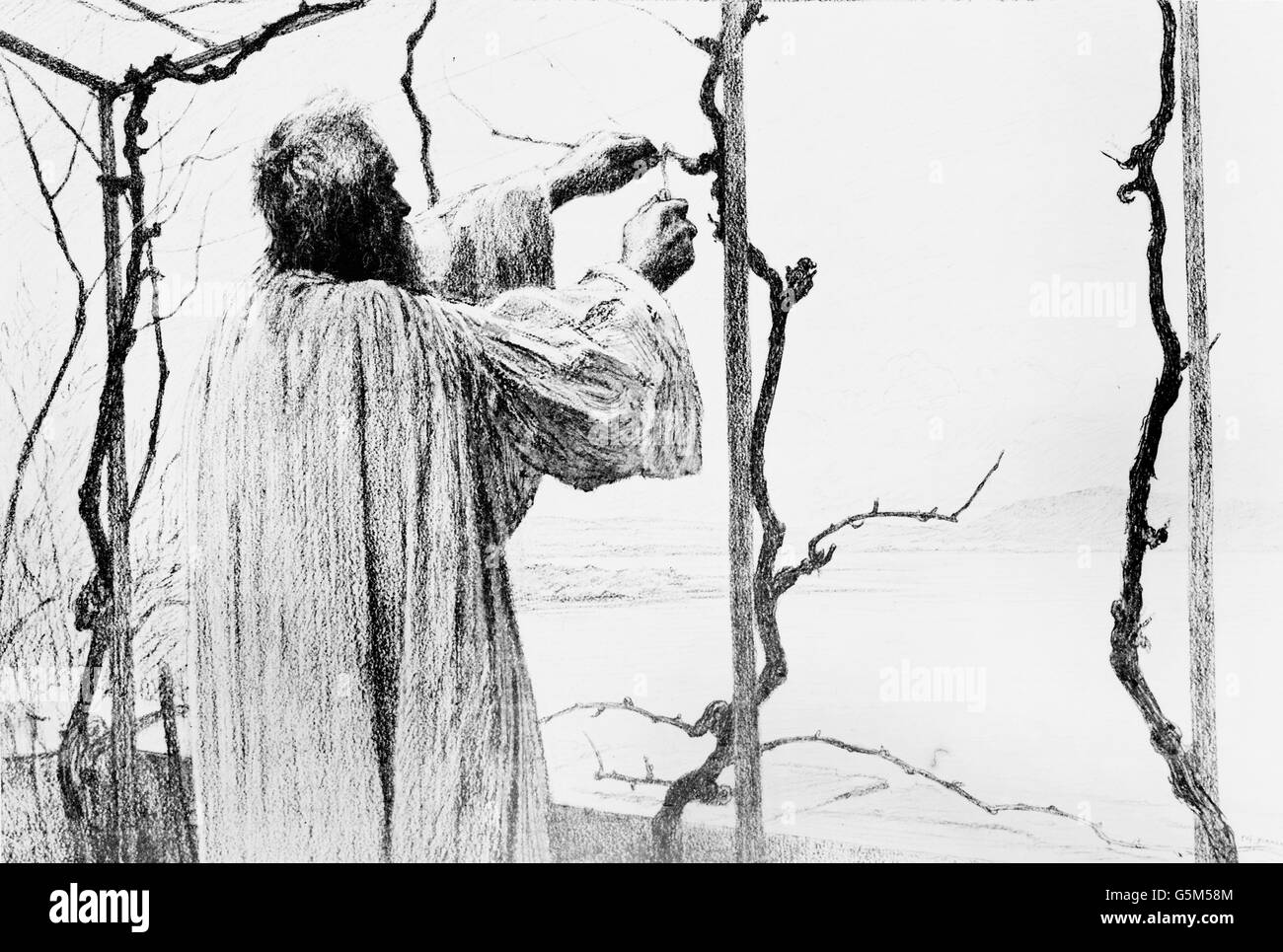 Gleichnis aus Dem Neuen Testament der Bibel. Gleichnis Jesu aus dem