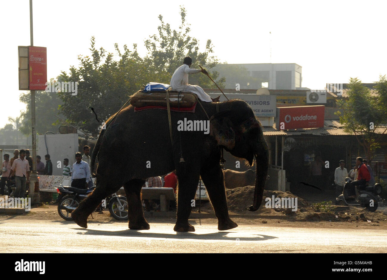 Ein Mann reitet auf einem Elefanten durch die Straßen von Ahmedabad im indischen Bundesstaat Gujurat. Stockfoto