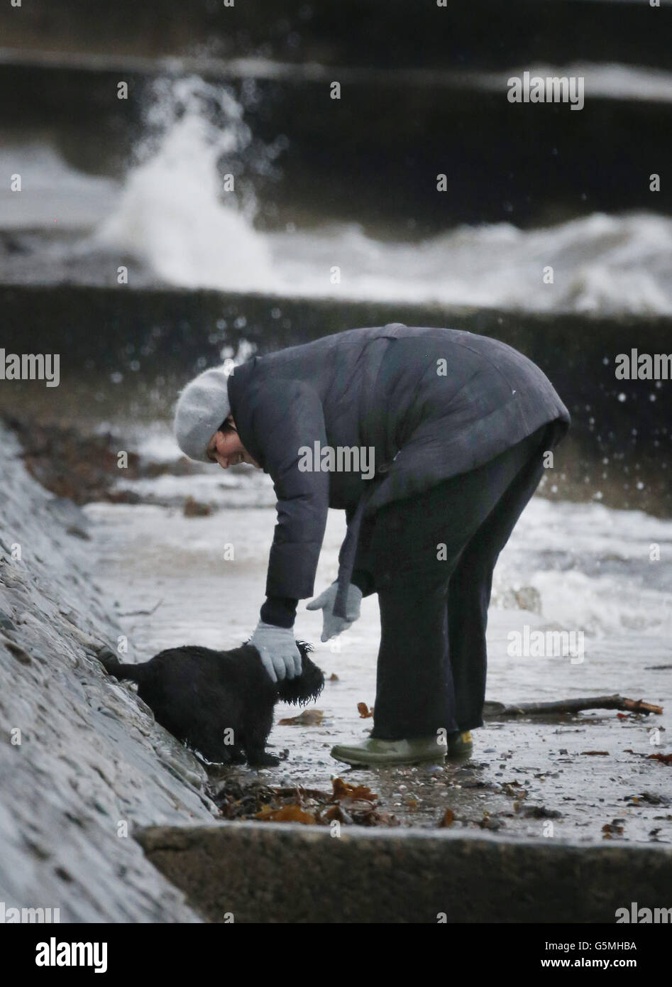Ein kleiner Hund, der gerettet wurde, nachdem er bei starkem Wind in Helensburgh, Schottland, in der Nähe einer Meeresmauer festsaß, da Großbritannien auf einen weiteren Tag von Überschwemmungen und Überschwemmungen vorbereitet ist, während starker Regen über das Land fegt. Stockfoto