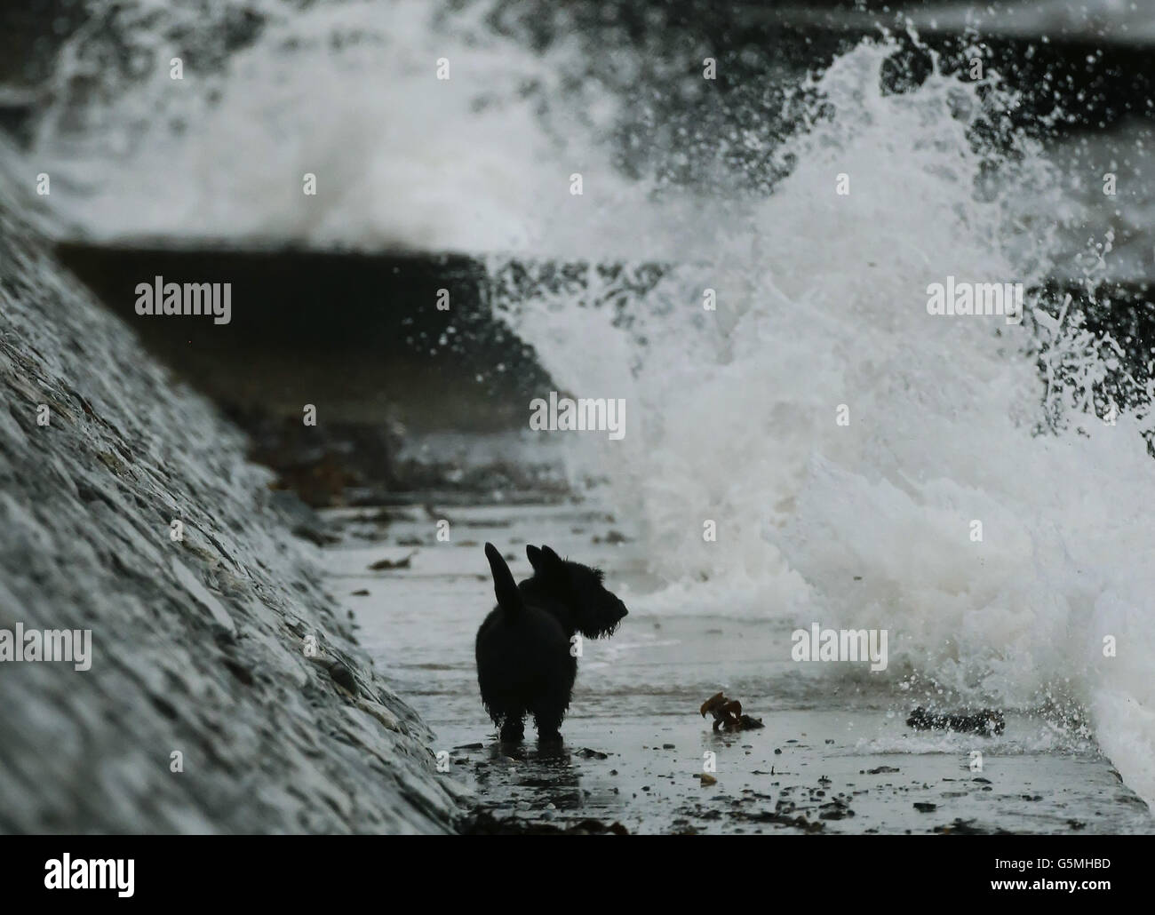 Herbstwetter am 22. November Stockfoto