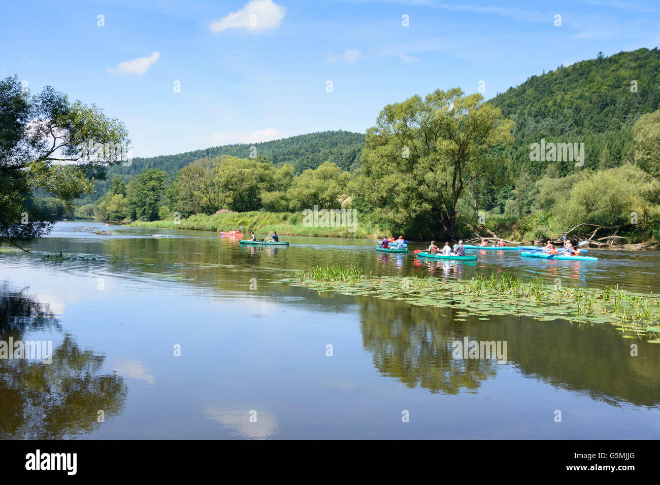 Paddler, Kanuten, Kanu, Fluss Regen, Miltach, Deutschland, Bayern, Bayern, Oberpfalz, Oberpfalz Stockfoto