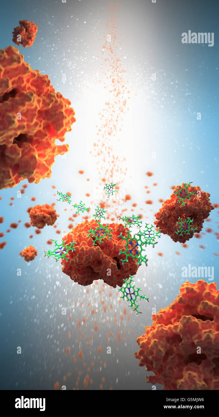 Hämoglobin (in Orange) ist ein Protein im Blut, das Sauerstoff aus der Atmungsorgane, der Rest des Körpers Stockfoto