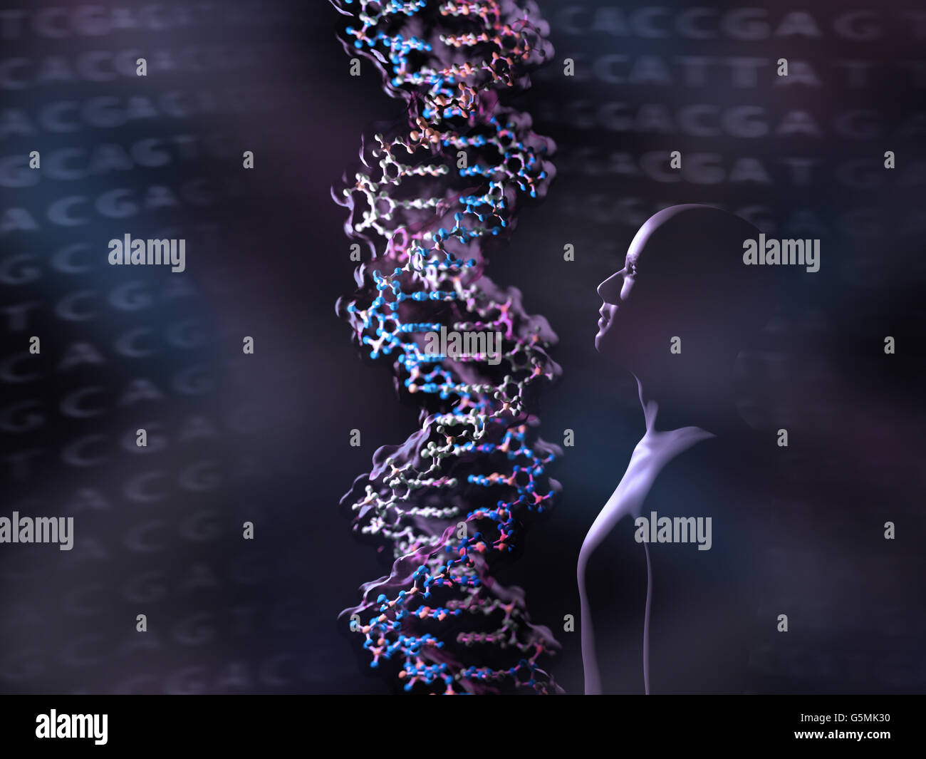 Detail eines DNA-Doppelhelix-Moleküls. DNA (Desoxyribonukleinsäure) ist ein Molekül, das meisten des genetischen Codes trägt Stockfoto