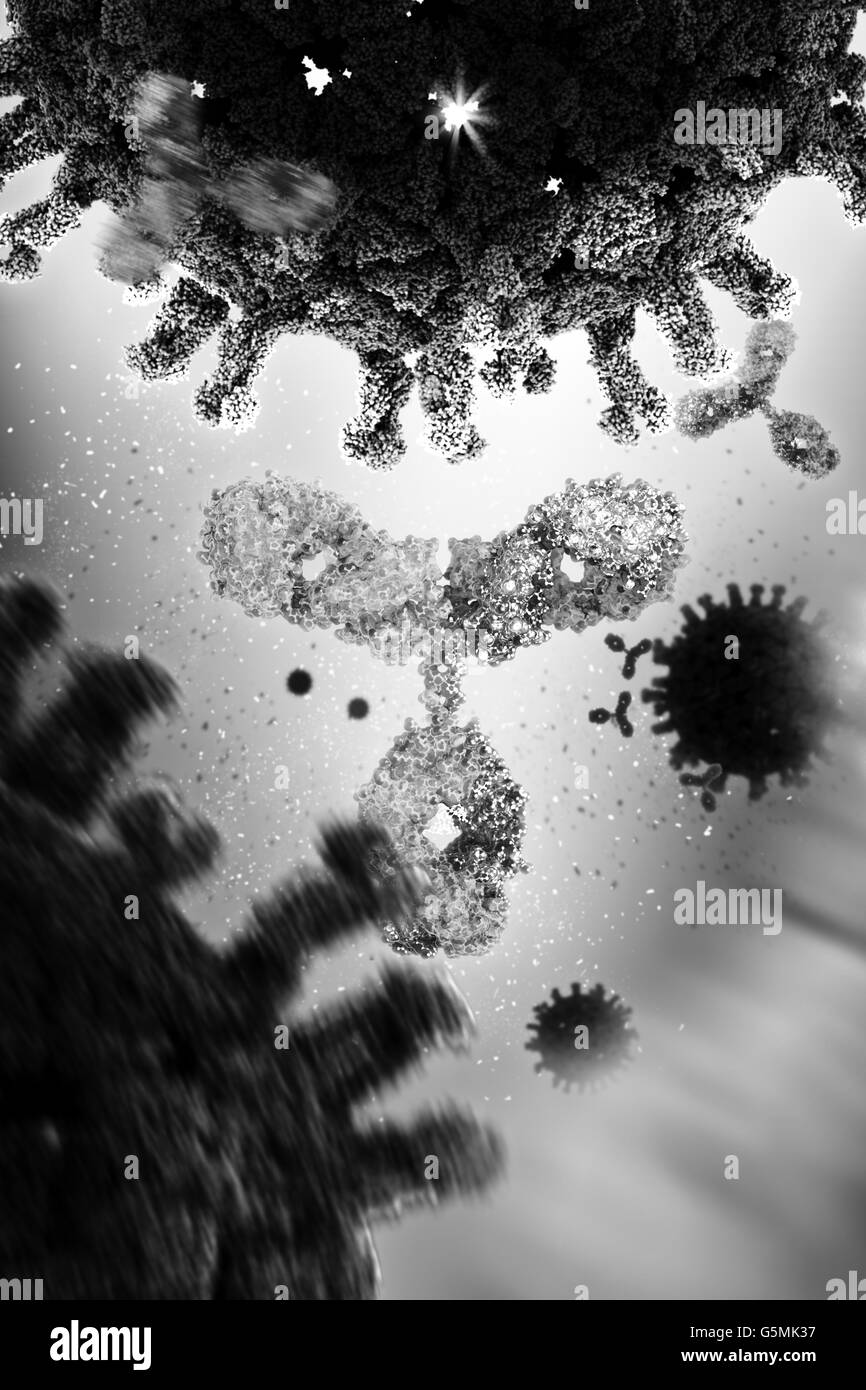 Antikörper aka Immunglobulin G (IgG), einem y-förmigen Protein Teil des menschlichen Immunsystems gegen ausländische Viruspartikel Stockfoto