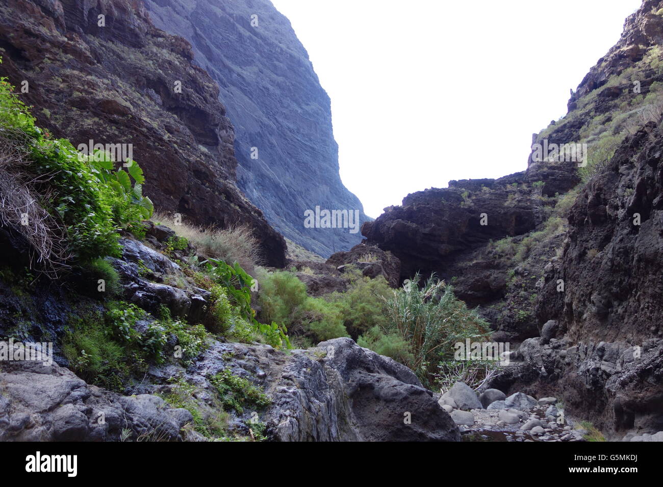 Masca Valley, Teneriffa, Spanien Stockfoto