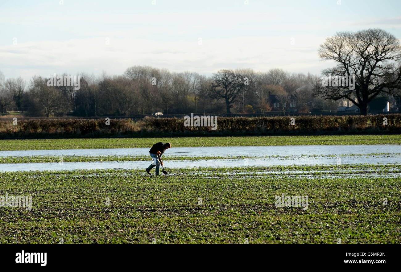 Ein Landwirt überprüft seine Ernten auf einem wasserprotokollierten Feld in der Nähe von Bishopthorpe, York, nach den sintflutartigen Regenfällen der letzten Wochen. Stockfoto