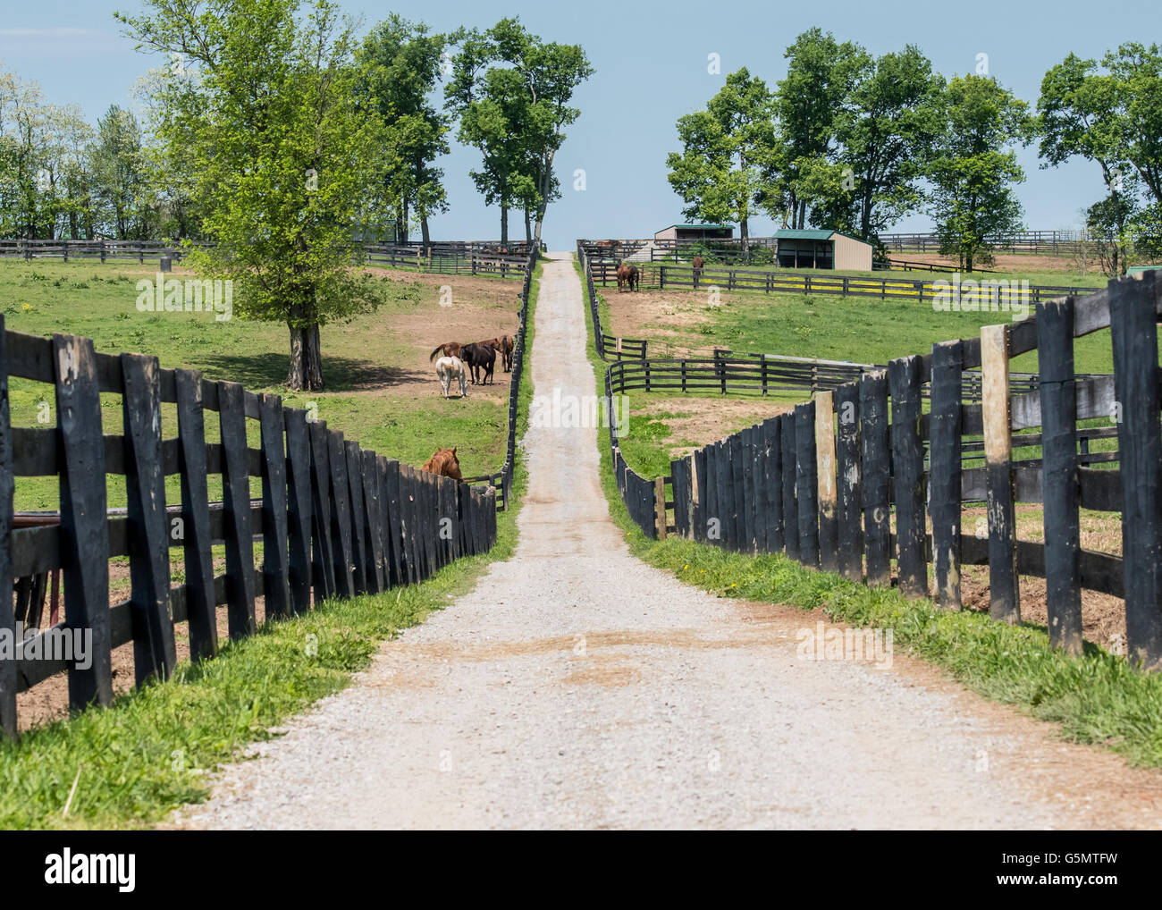 Der Weg auf der Rückseite des Hofes durch klapprigen schwarzen Zäune Stockfoto