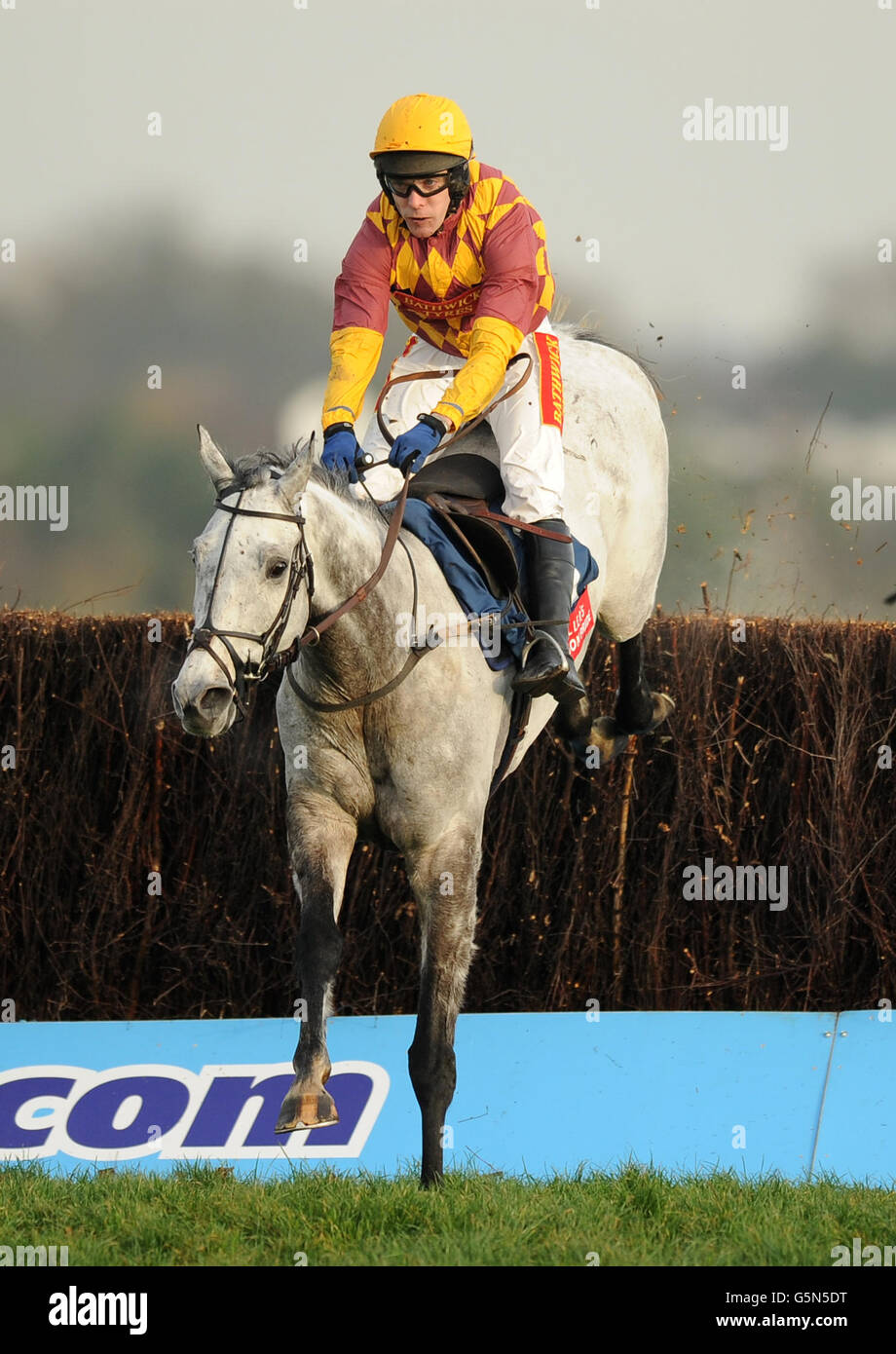 Dynaste von Jockey gefahren Tom Scudamore springt die letzte, um weiter zu fahren und die Fuller's London Pride Novices' Chase während des Sportingbet Winter Festivals auf der Rennbahn Newbury zu gewinnen. Stockfoto